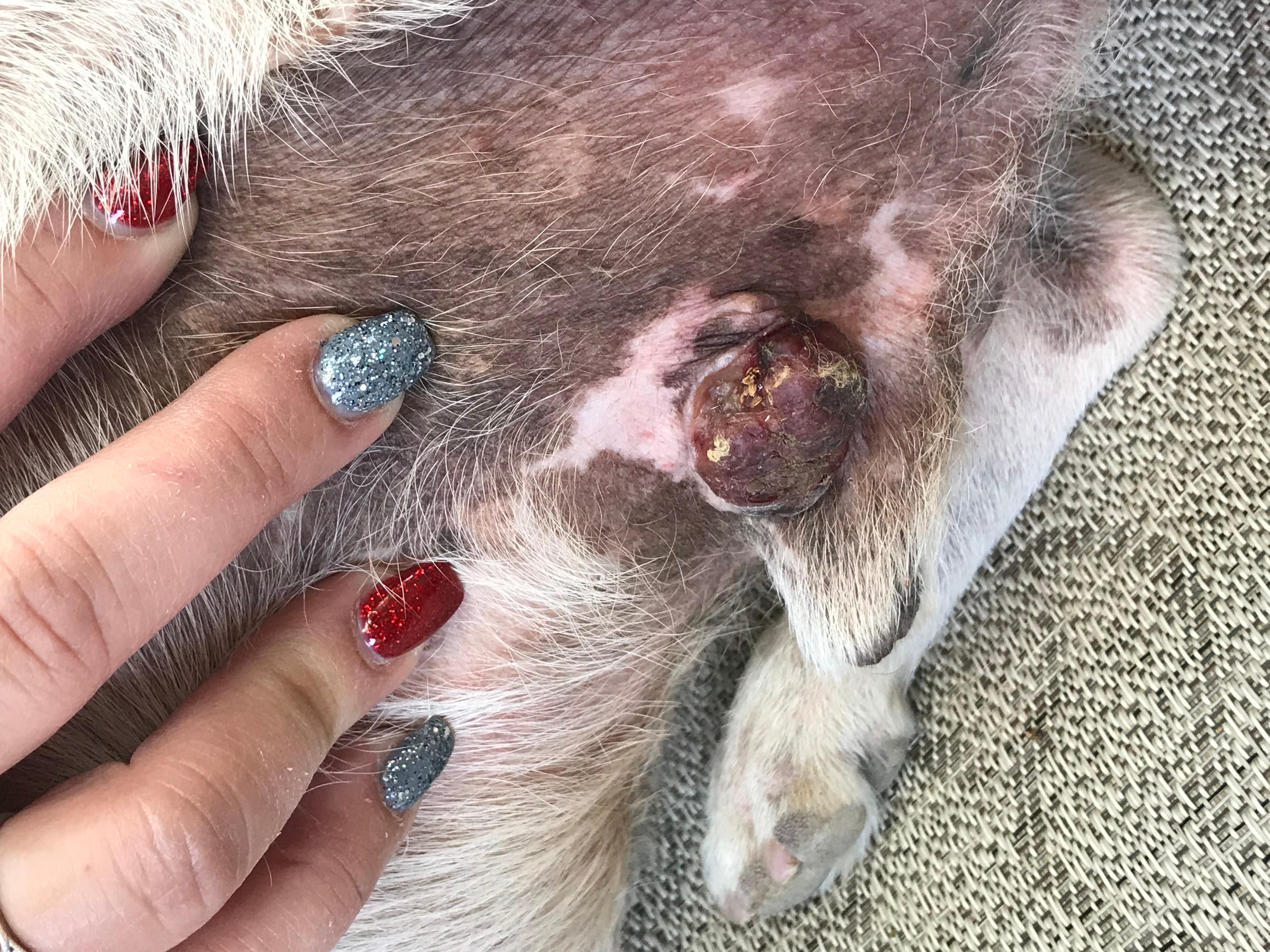 Question details sensitive content