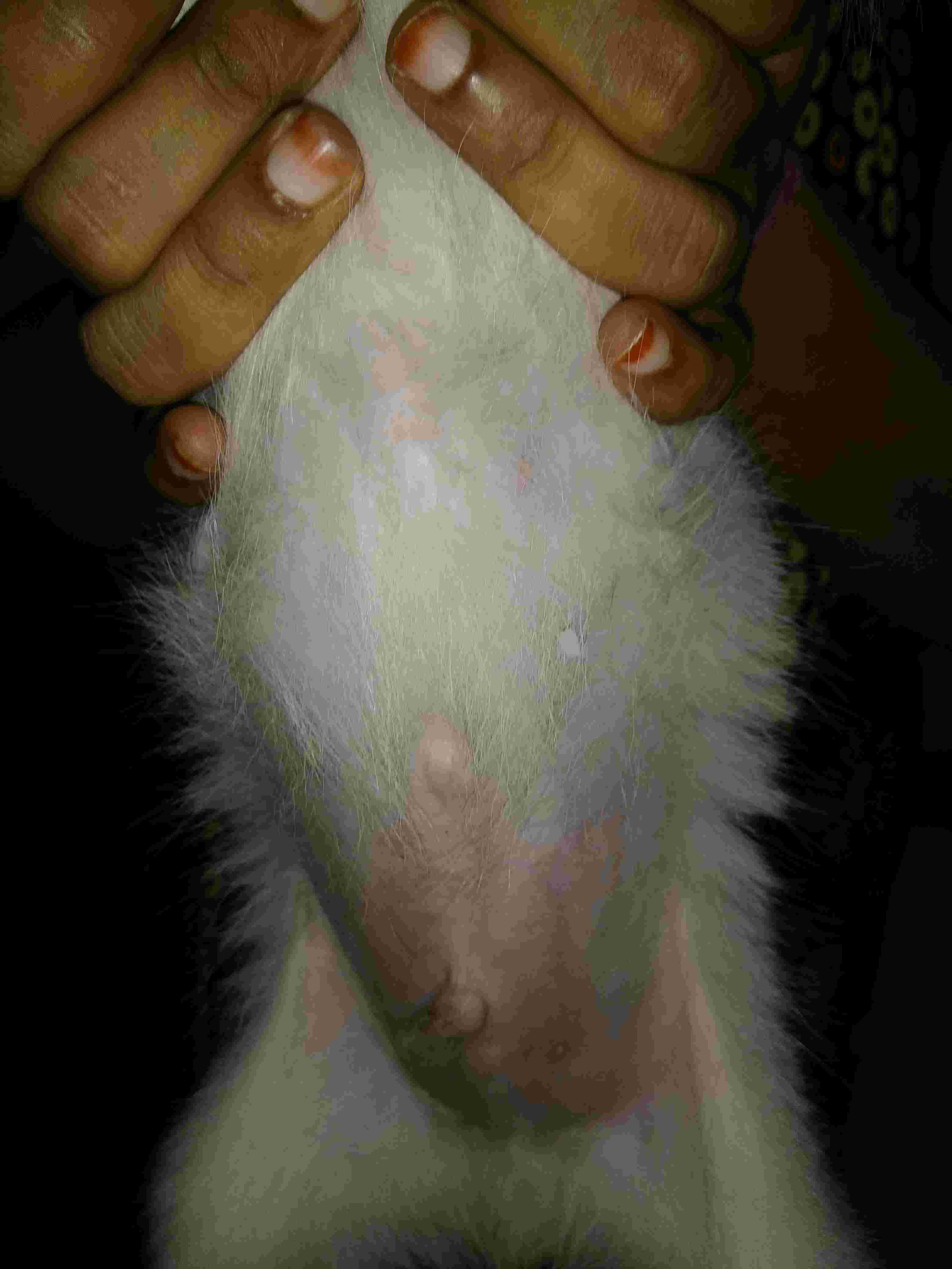 Question details sensitive content