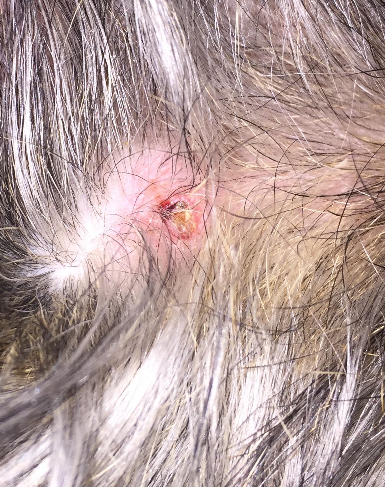 Question details sensitive content