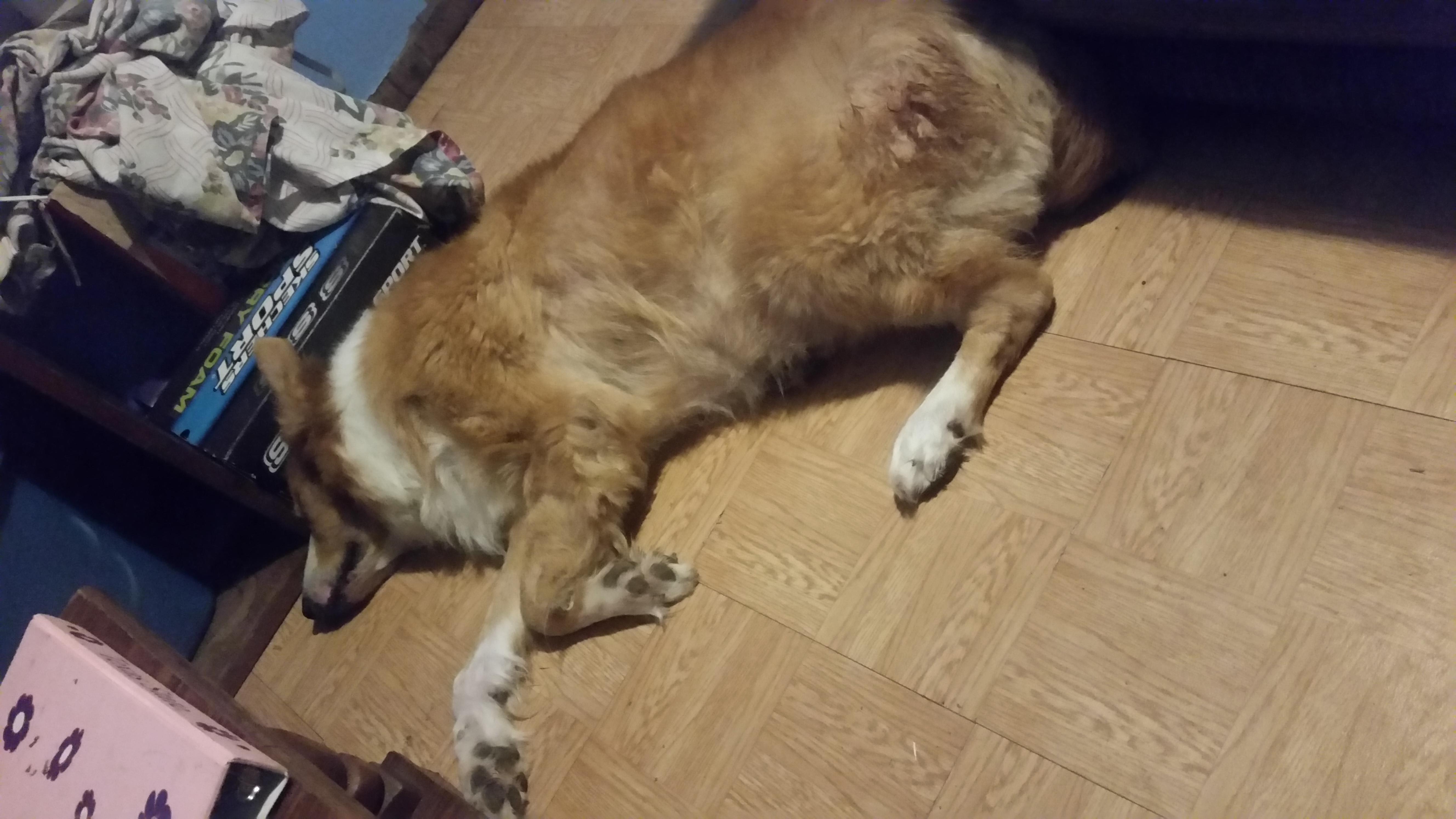 Question details sensitive content