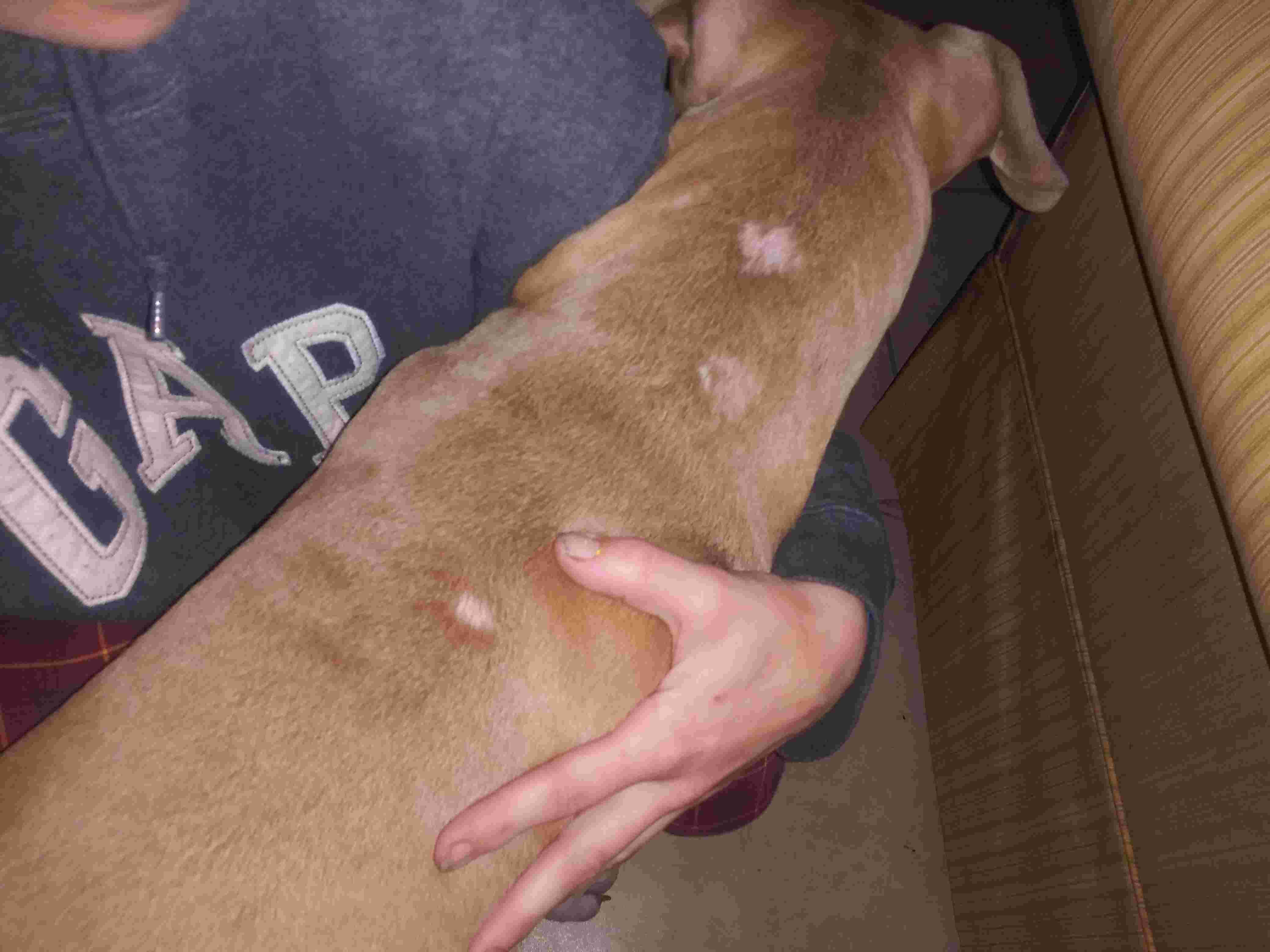 Question details sensitive content