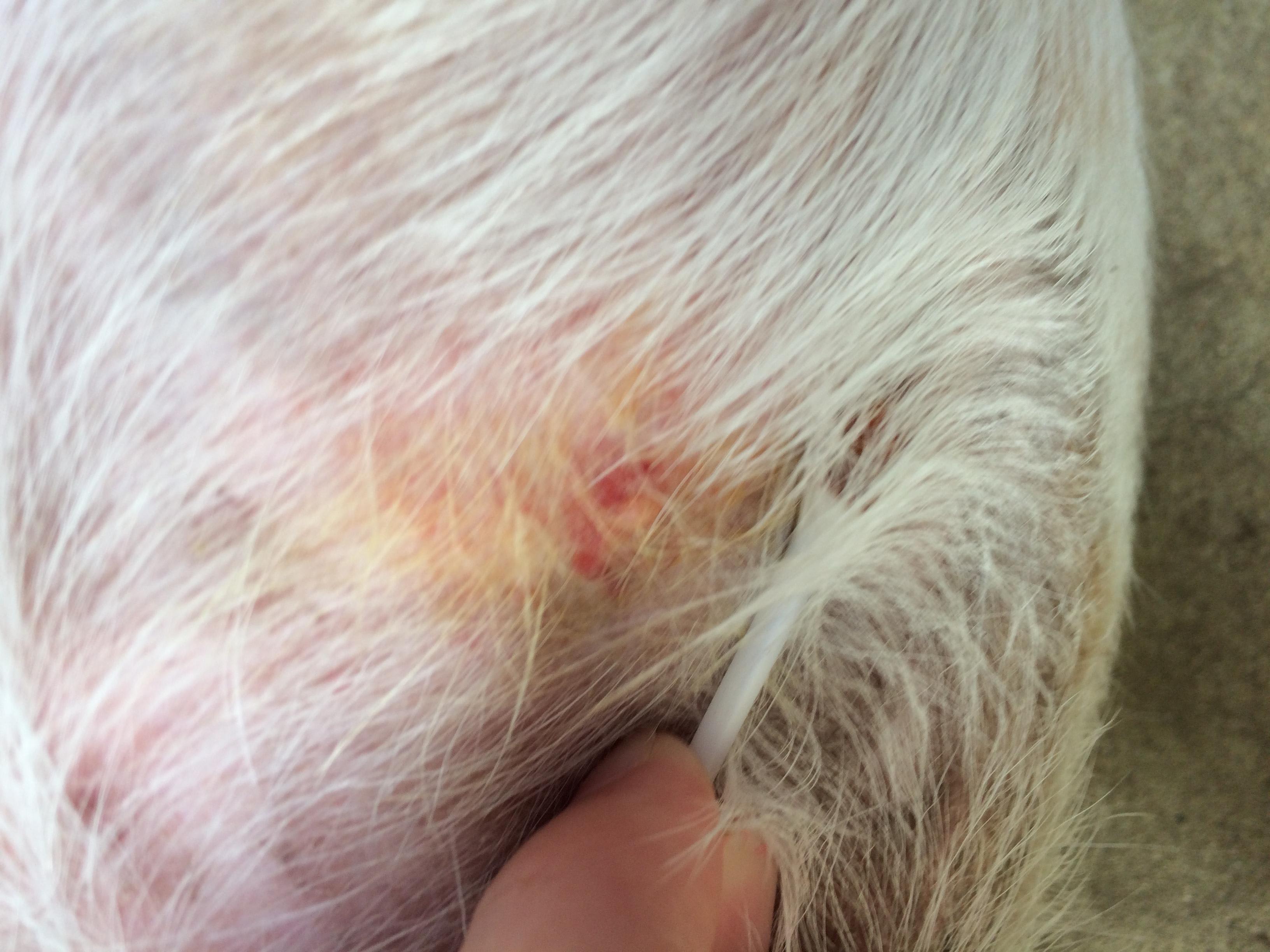 Question details sensitive content