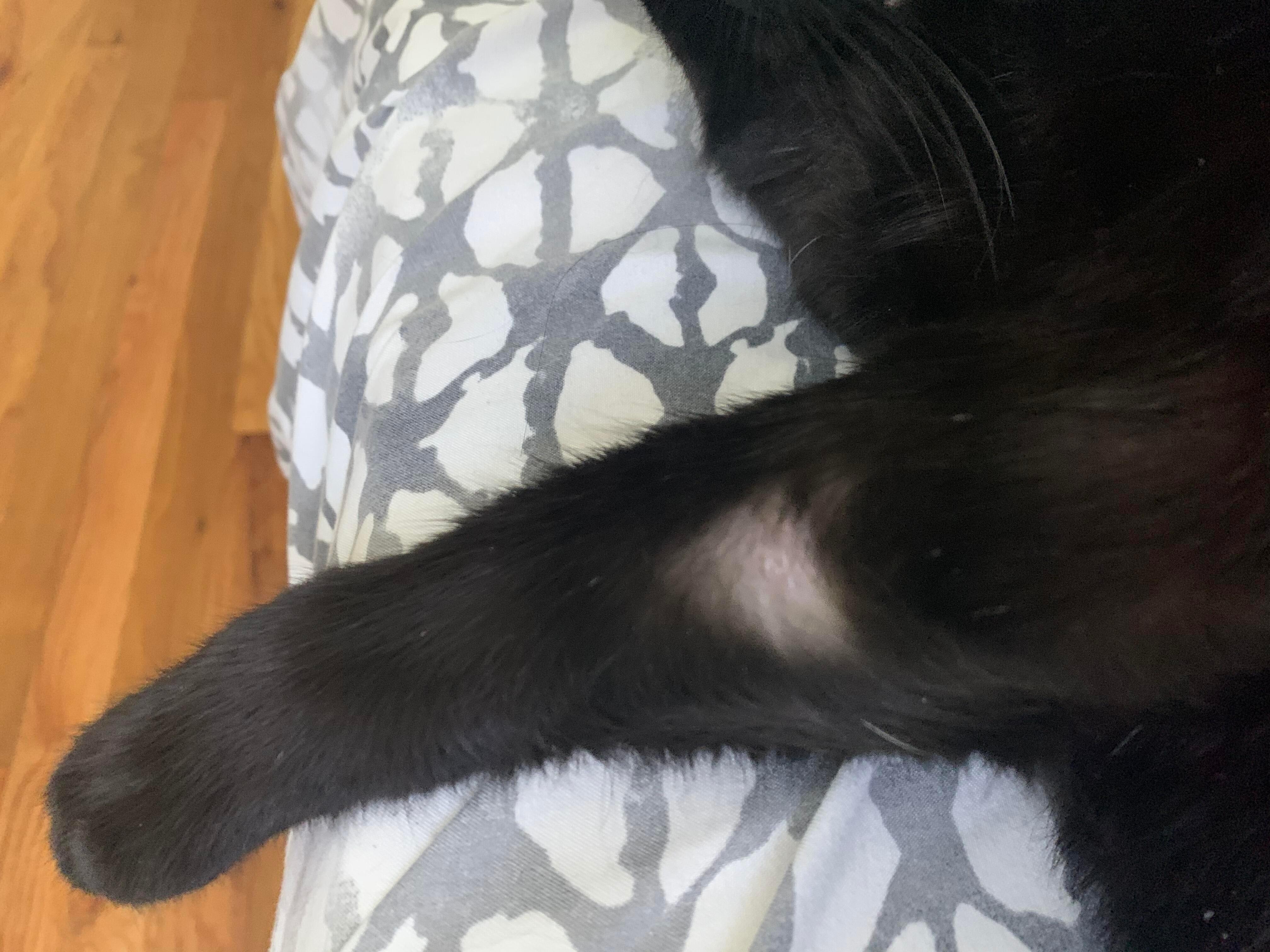 Question details sensitive content