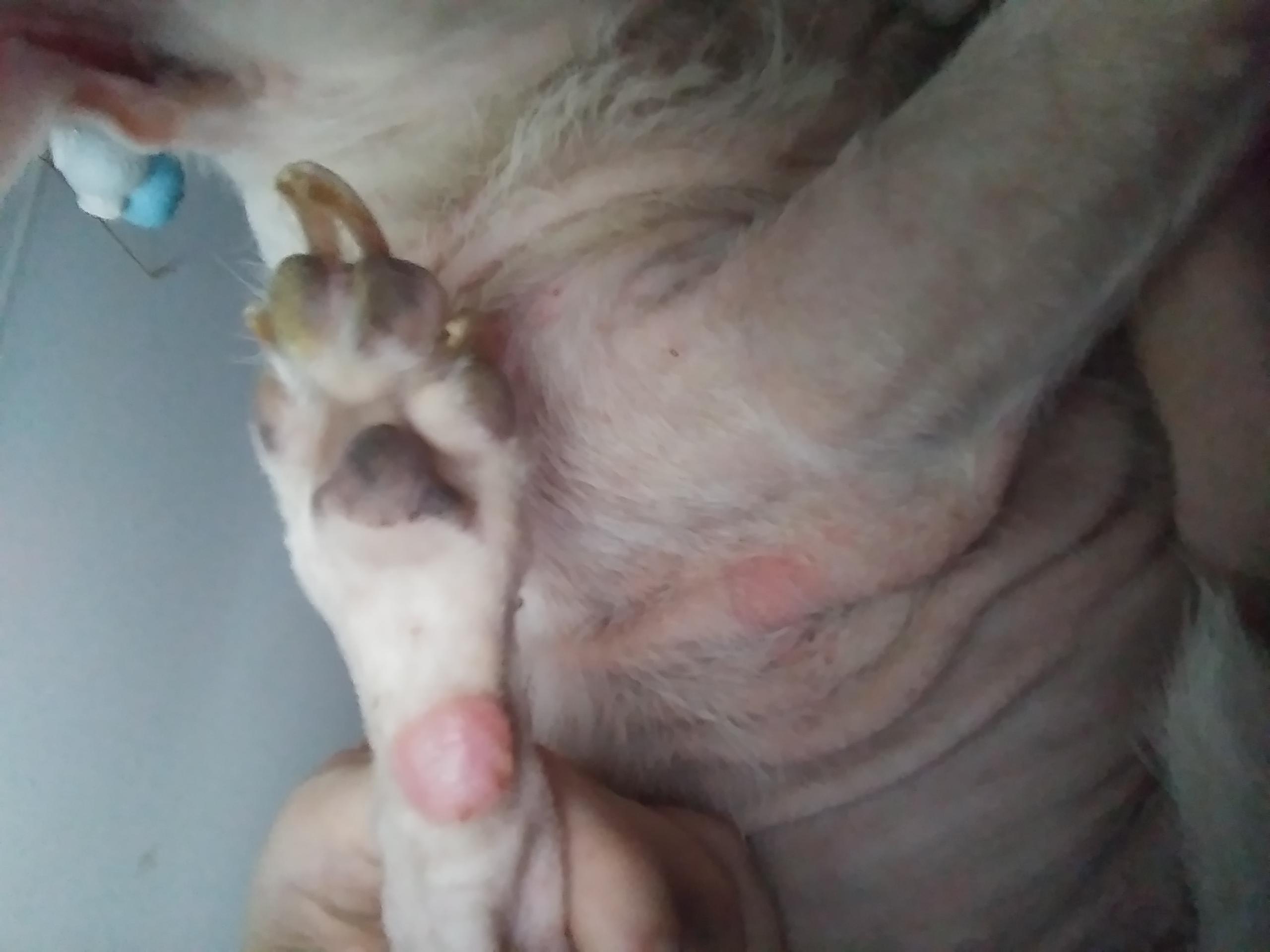 Question details sensitive content