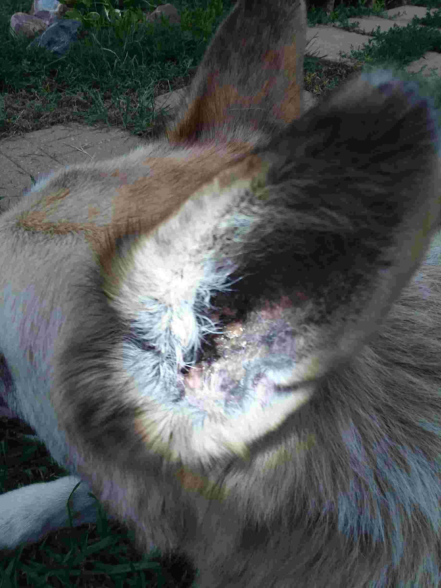 Question details sensitive content