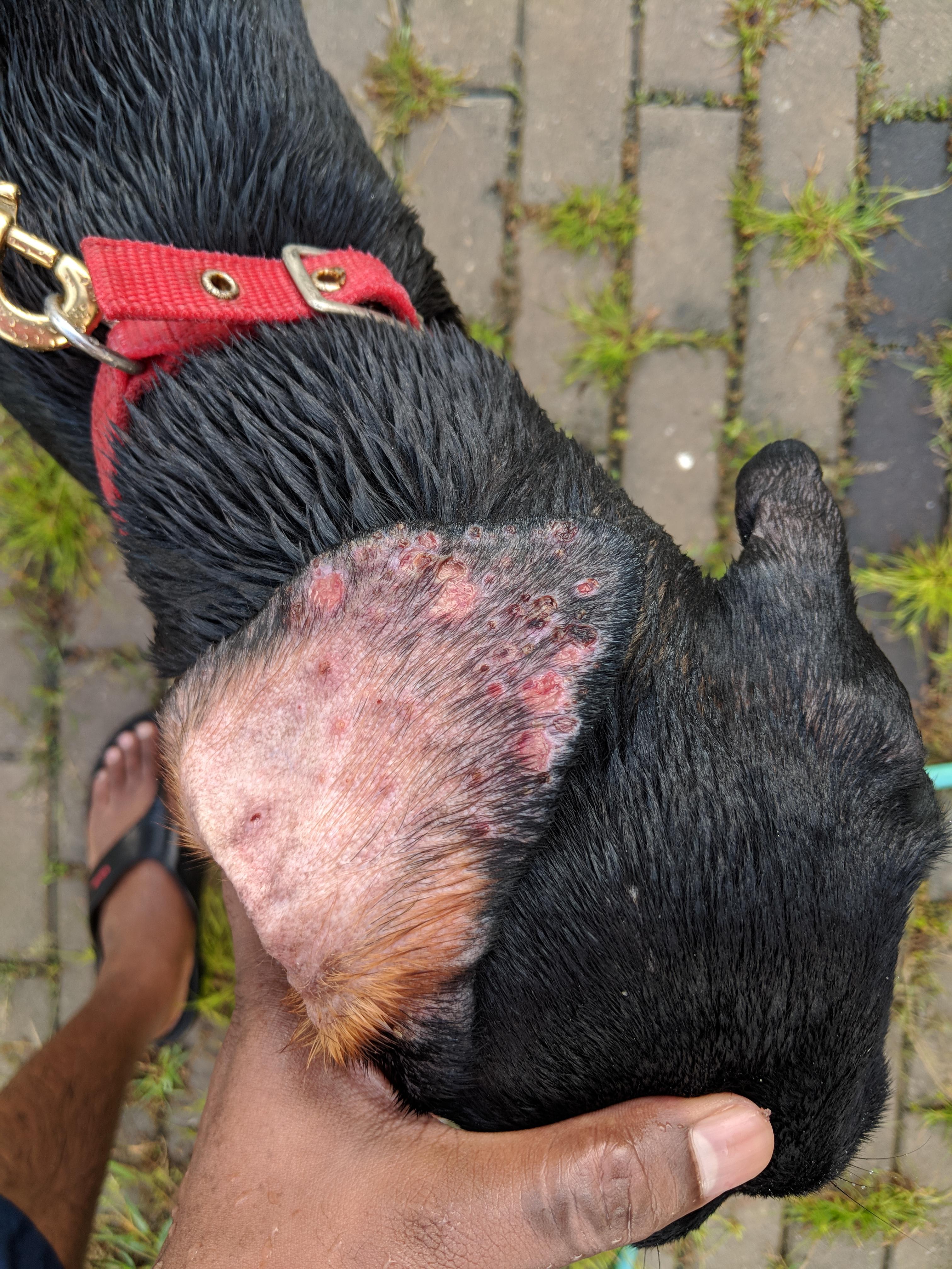 Question details sensitive content