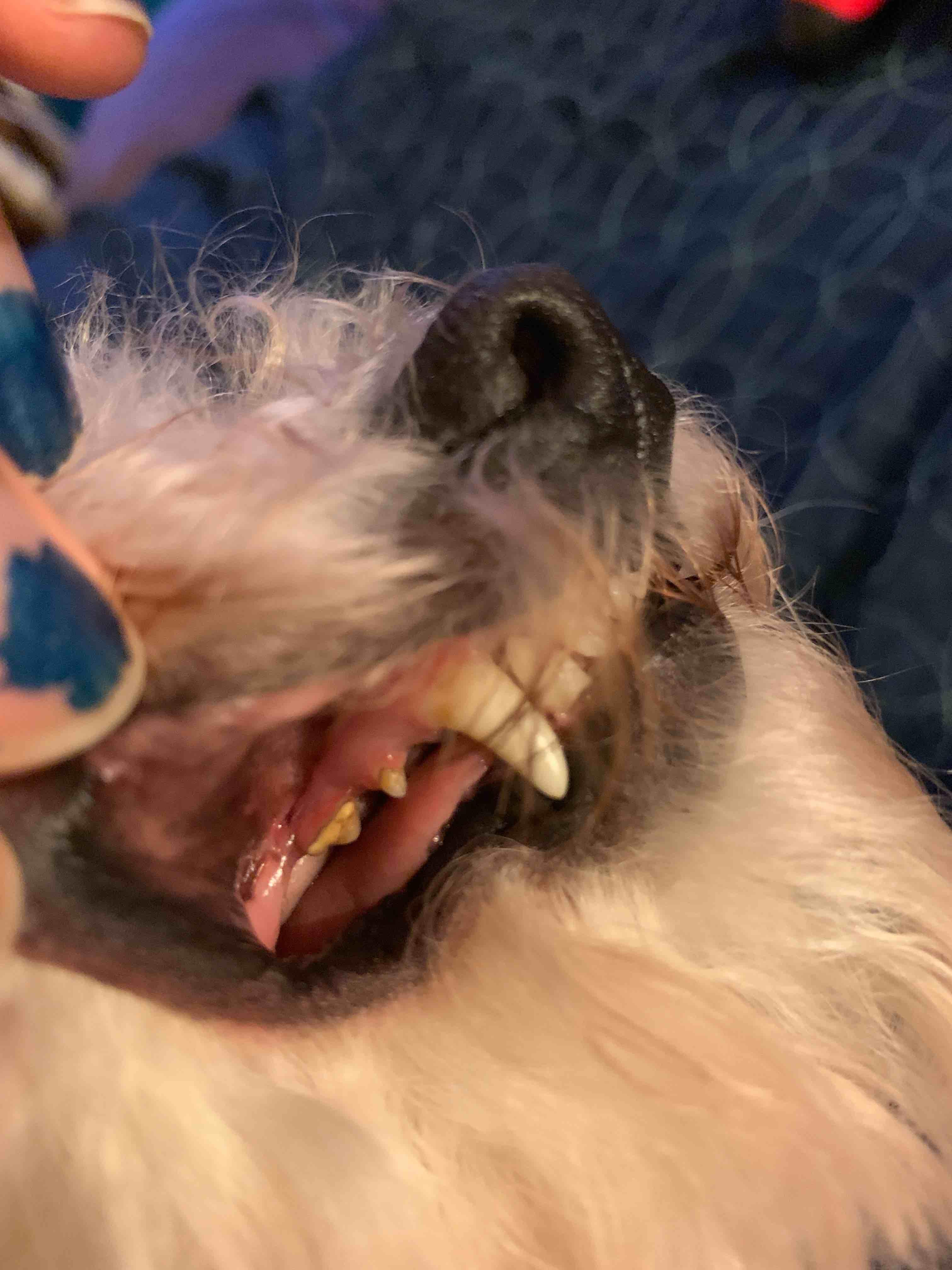 Question details sensitive content