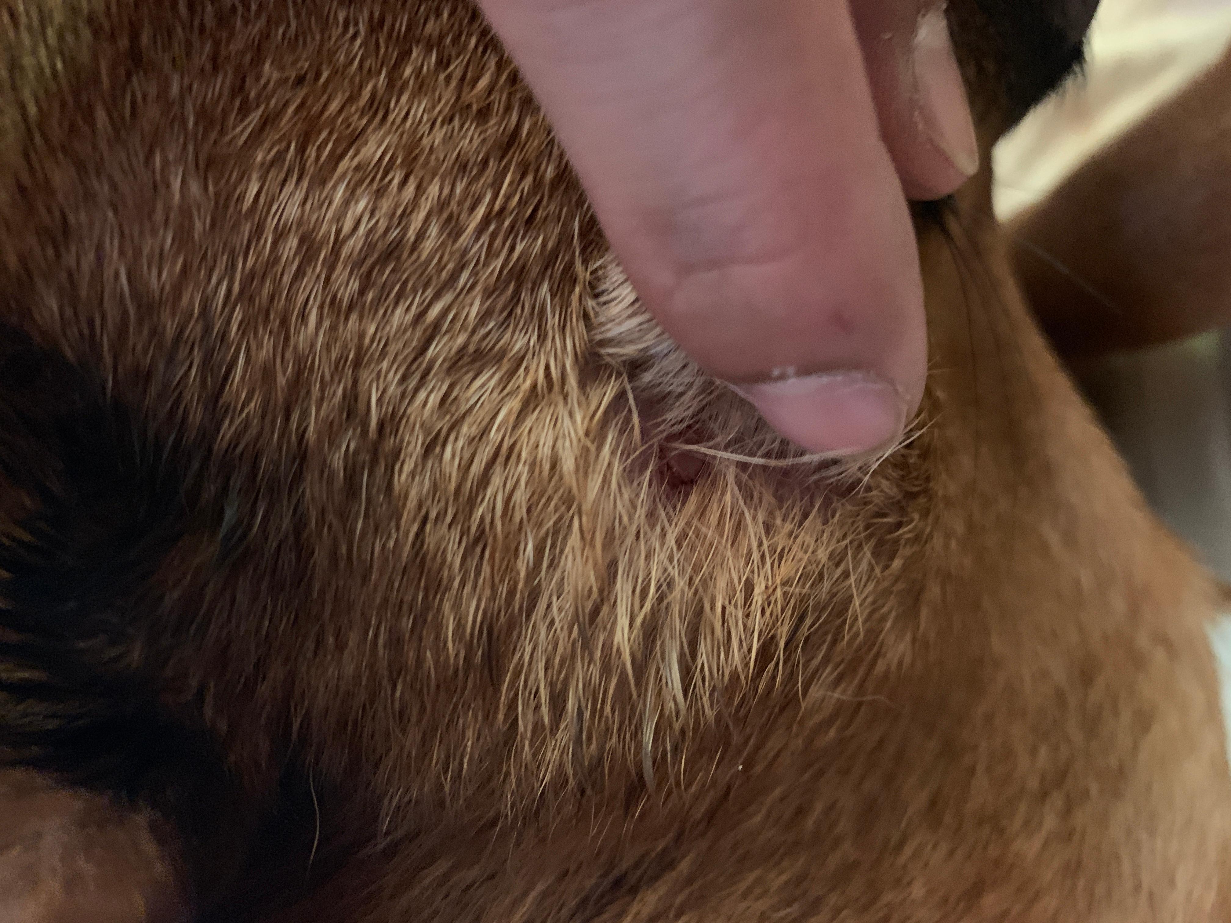 Question details sensitive content