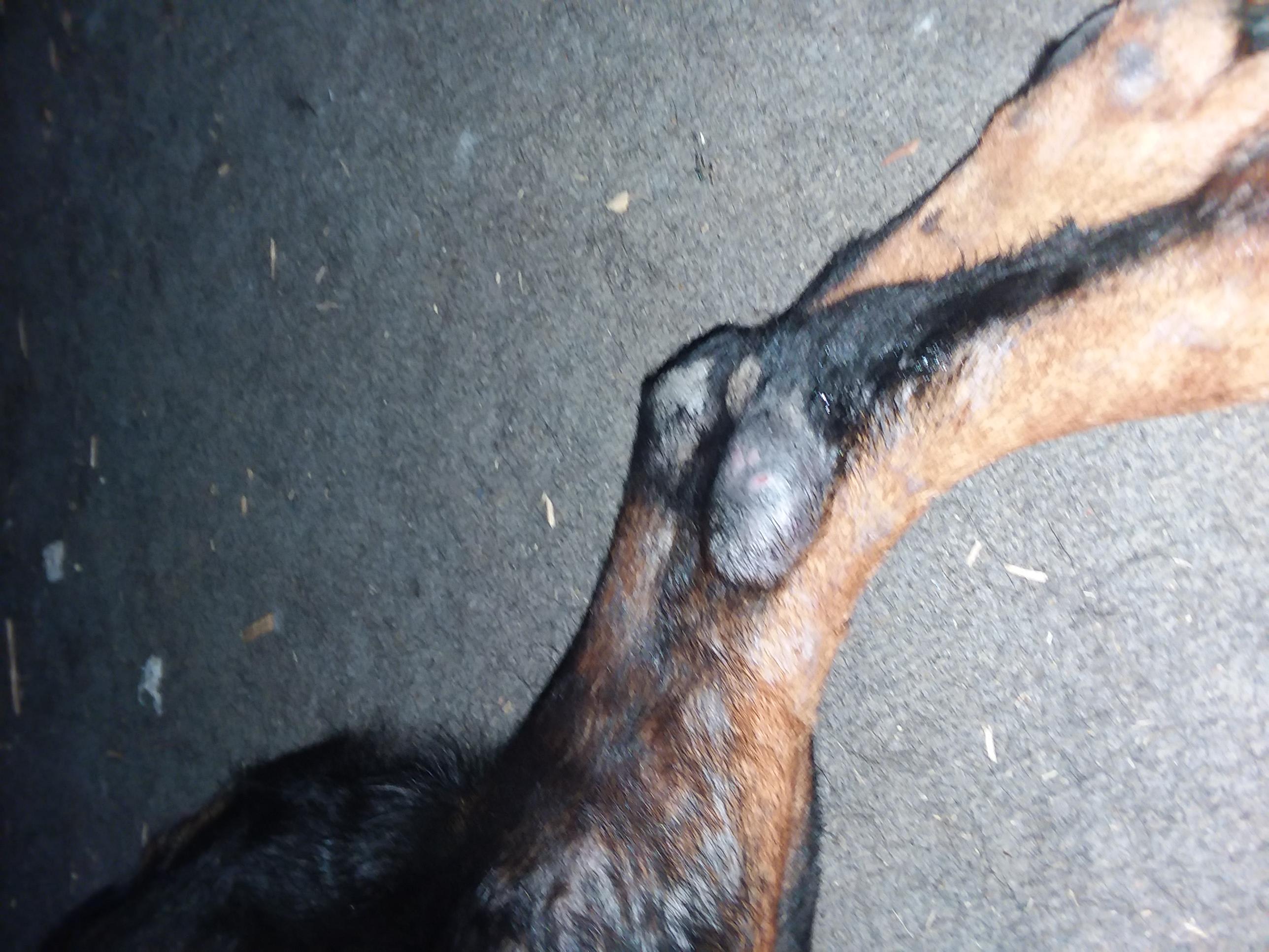 Question details sensitive content