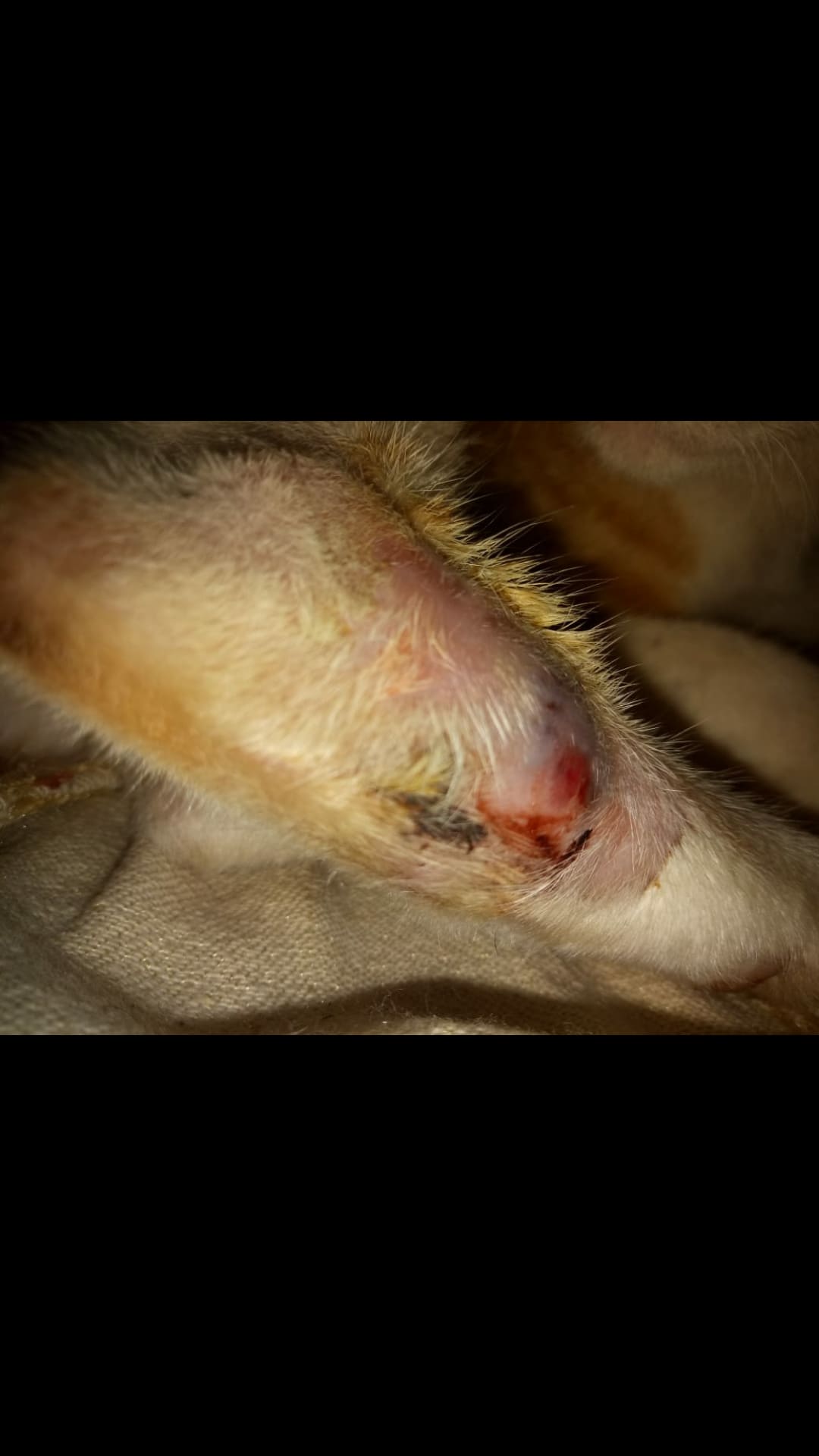 Question details sensitive content