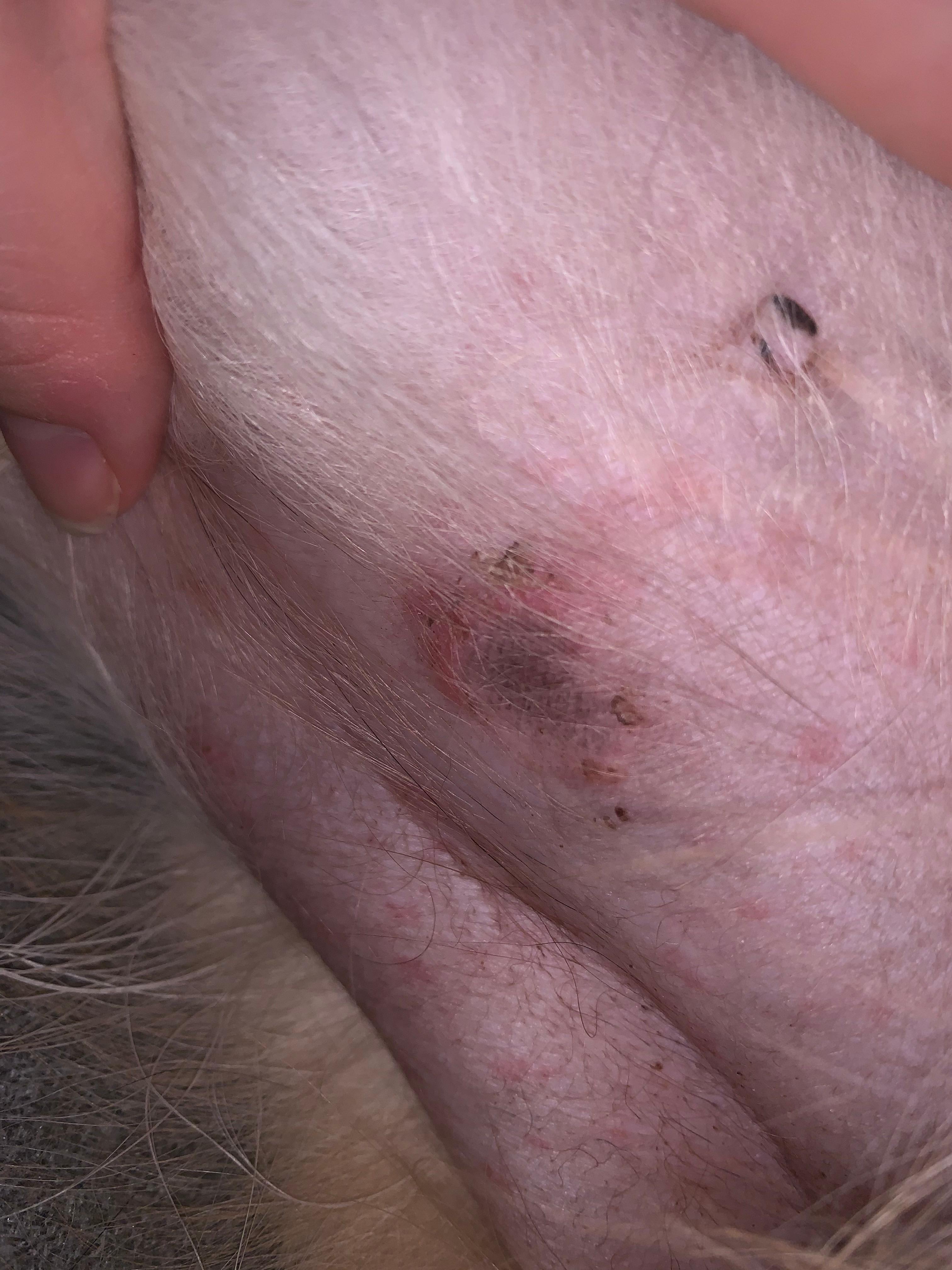 Question details sensitive content