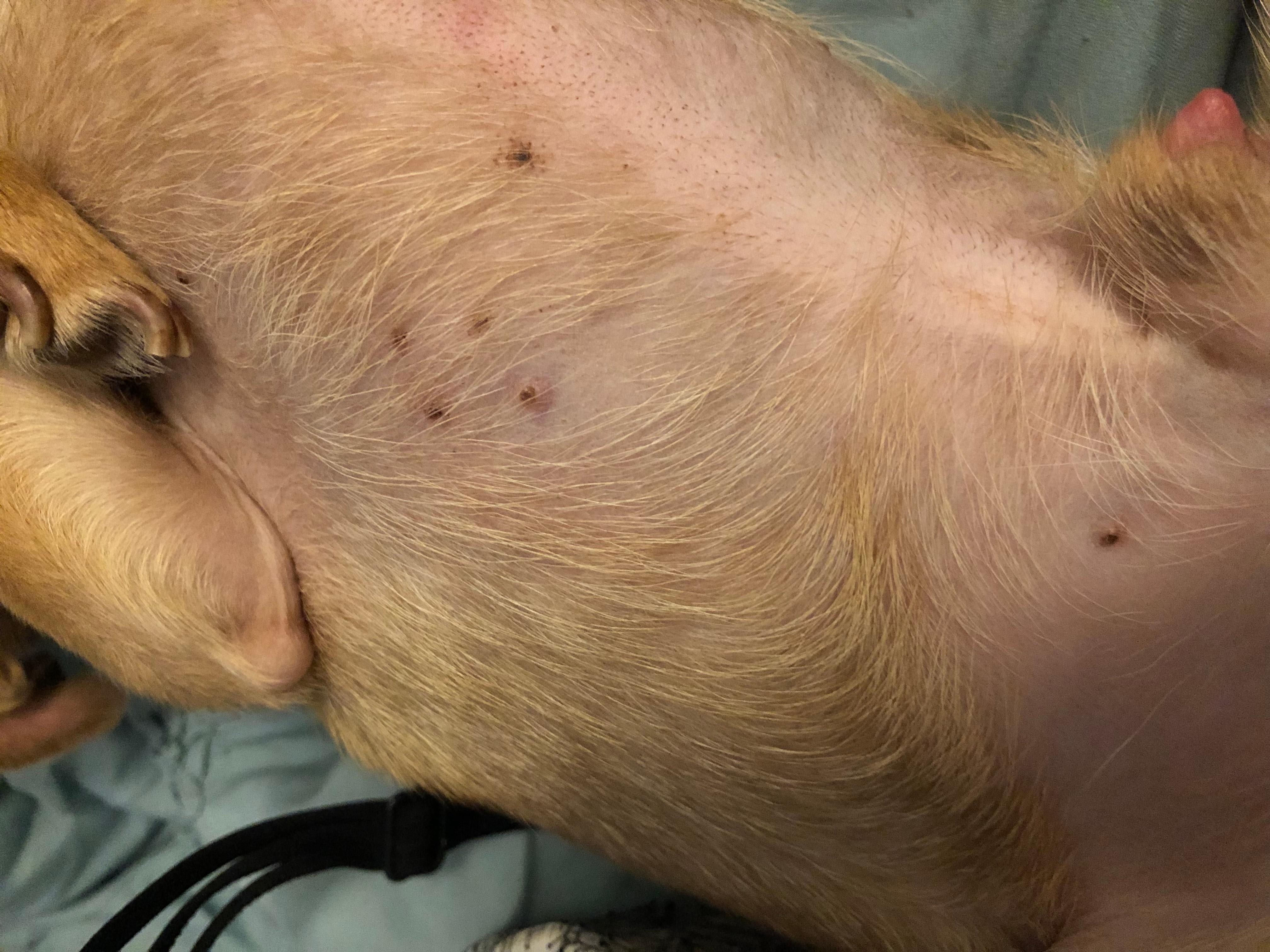 Question details sensitive content