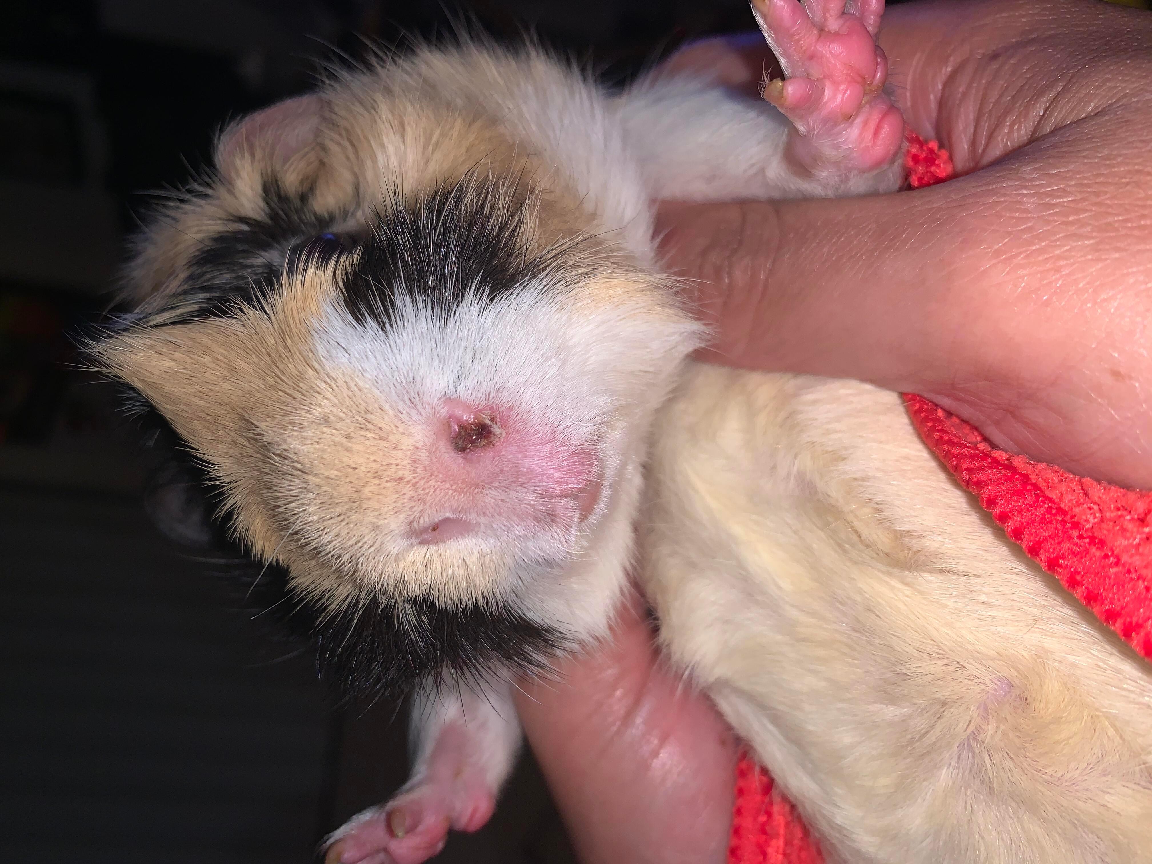 Question details sensitive content