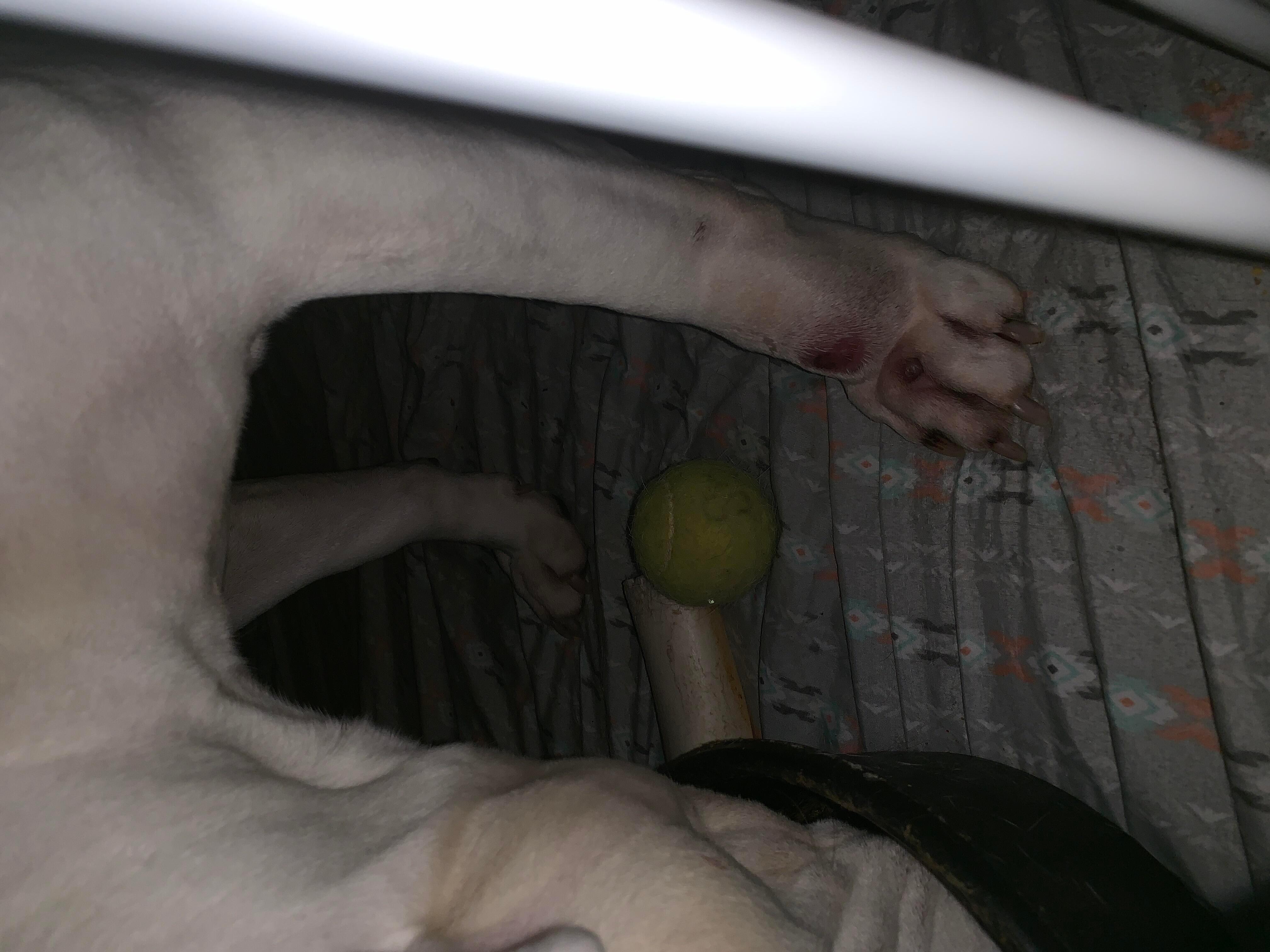 Question details sensitive content