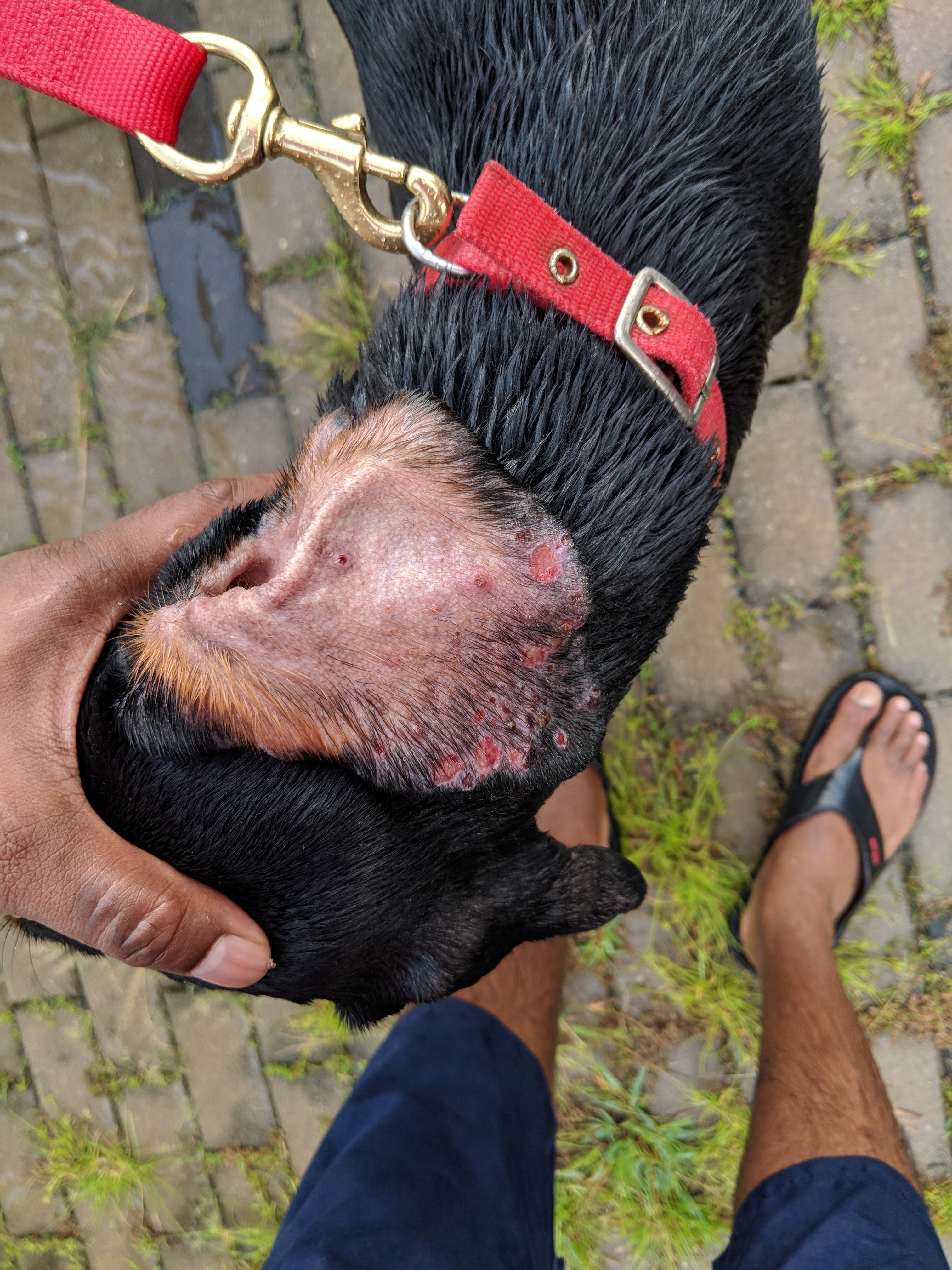 Question details sensitive content