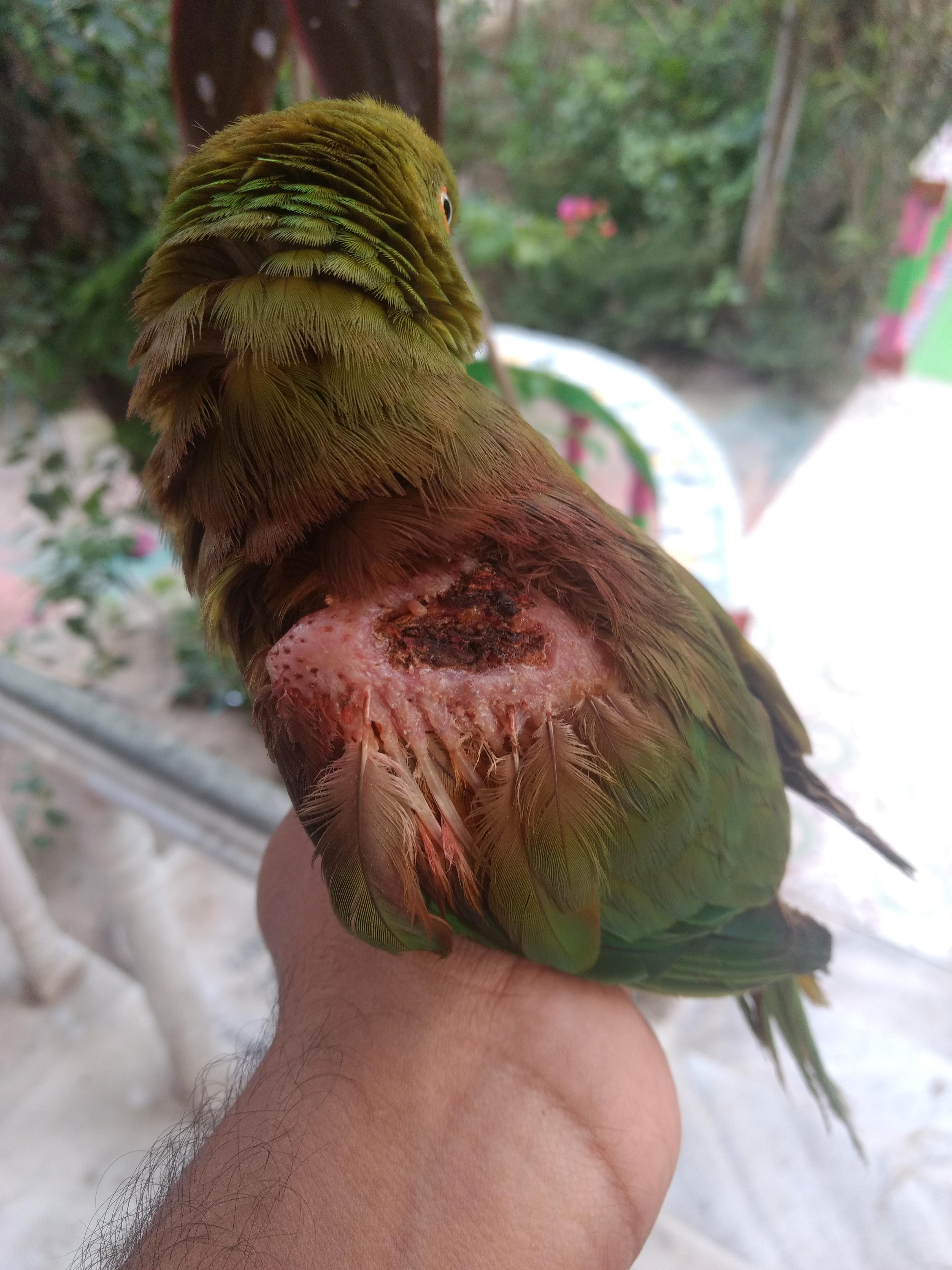 Question details sensitive content