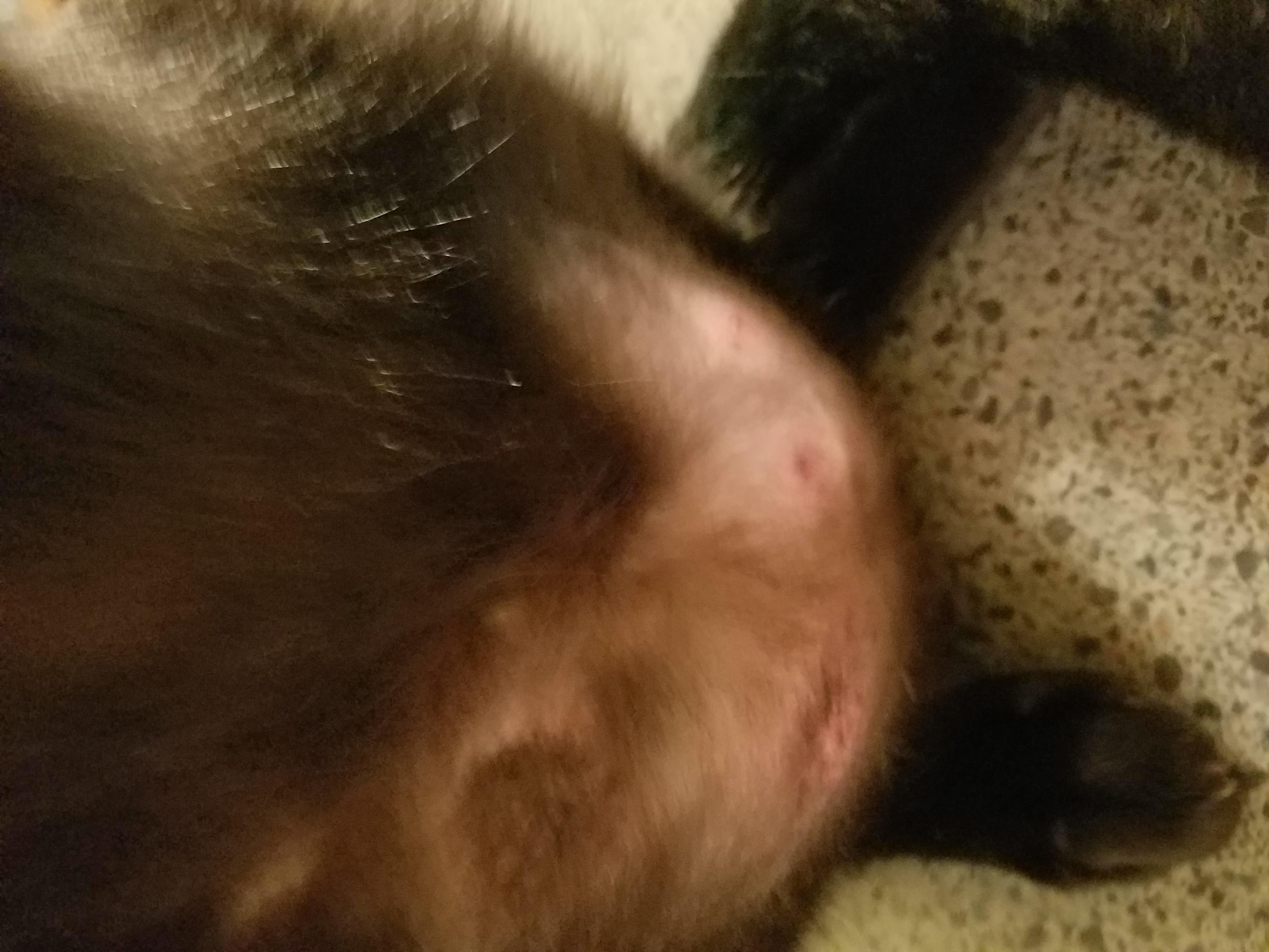 Question details sensitive content