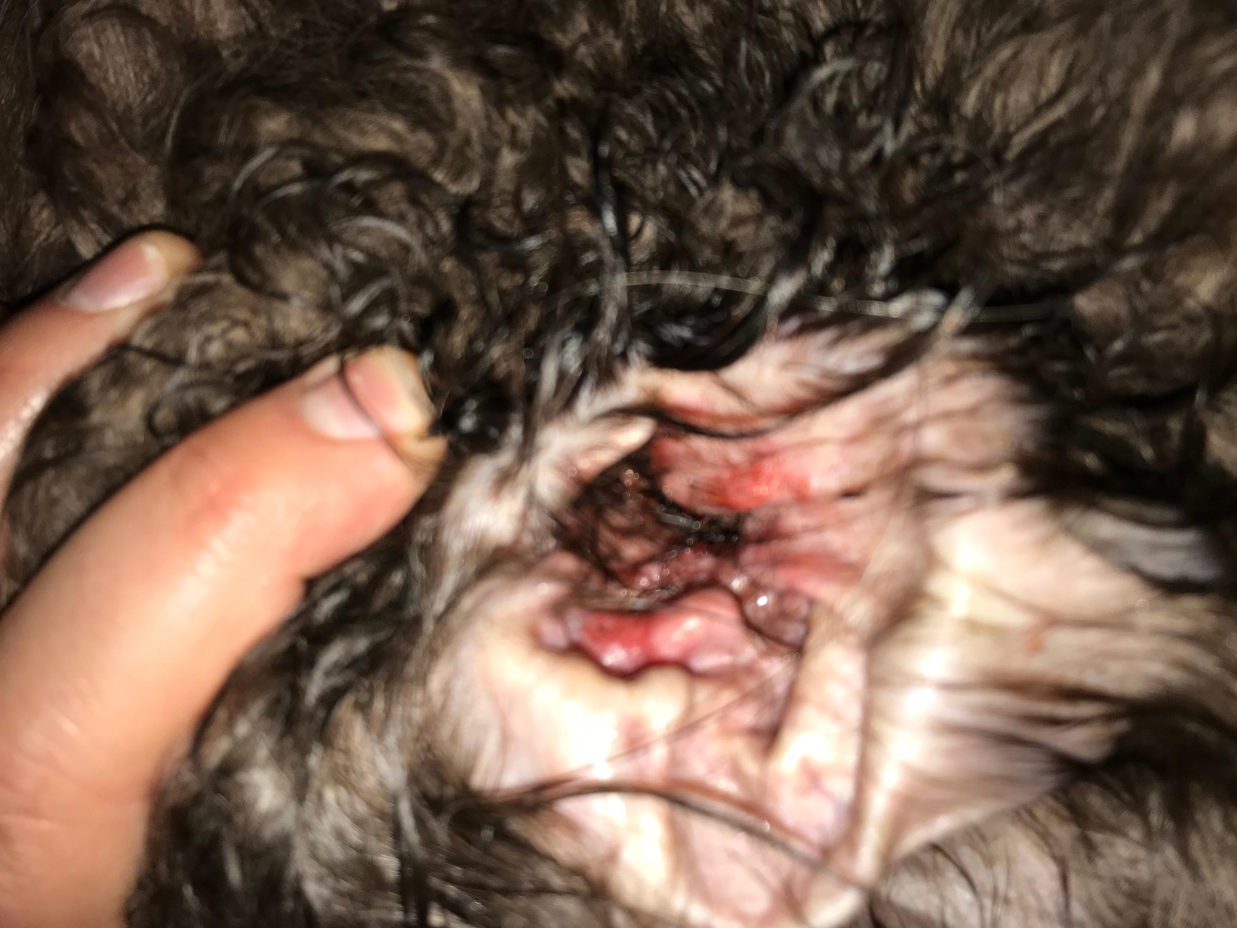 Question details sensitive content