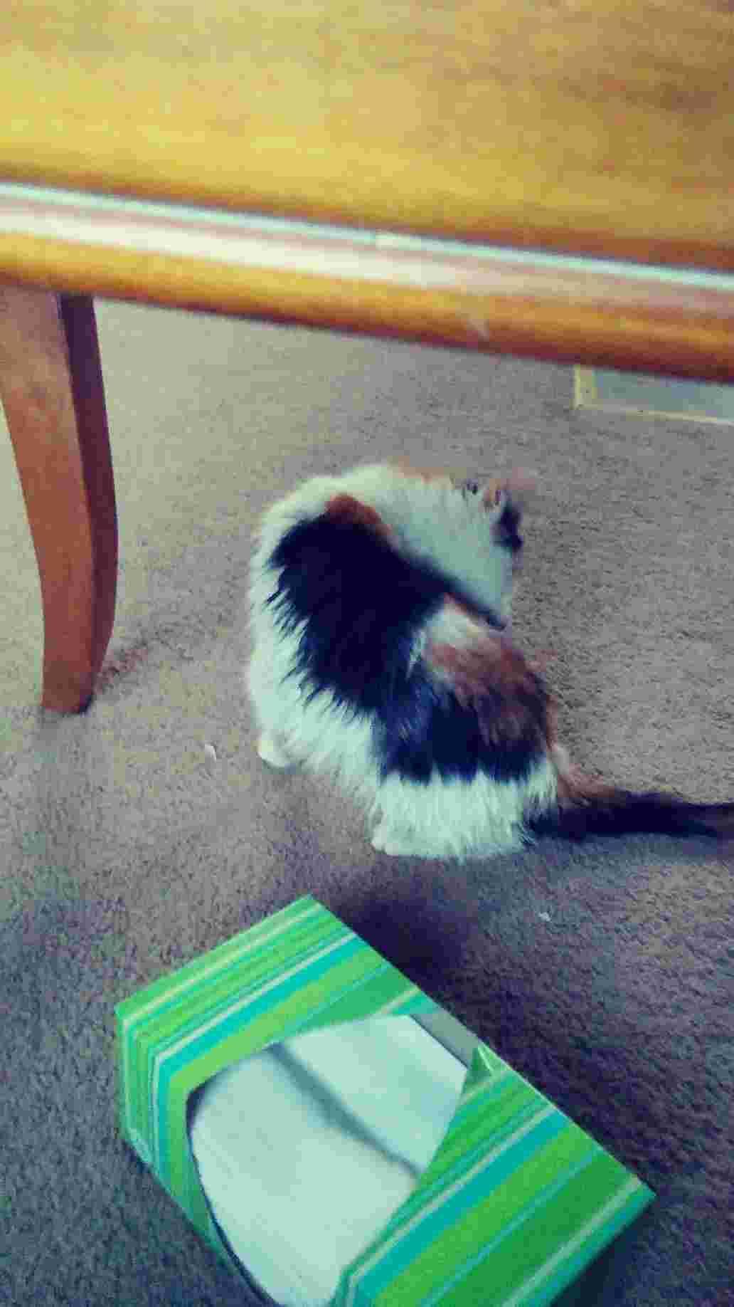 Question details sensitive content