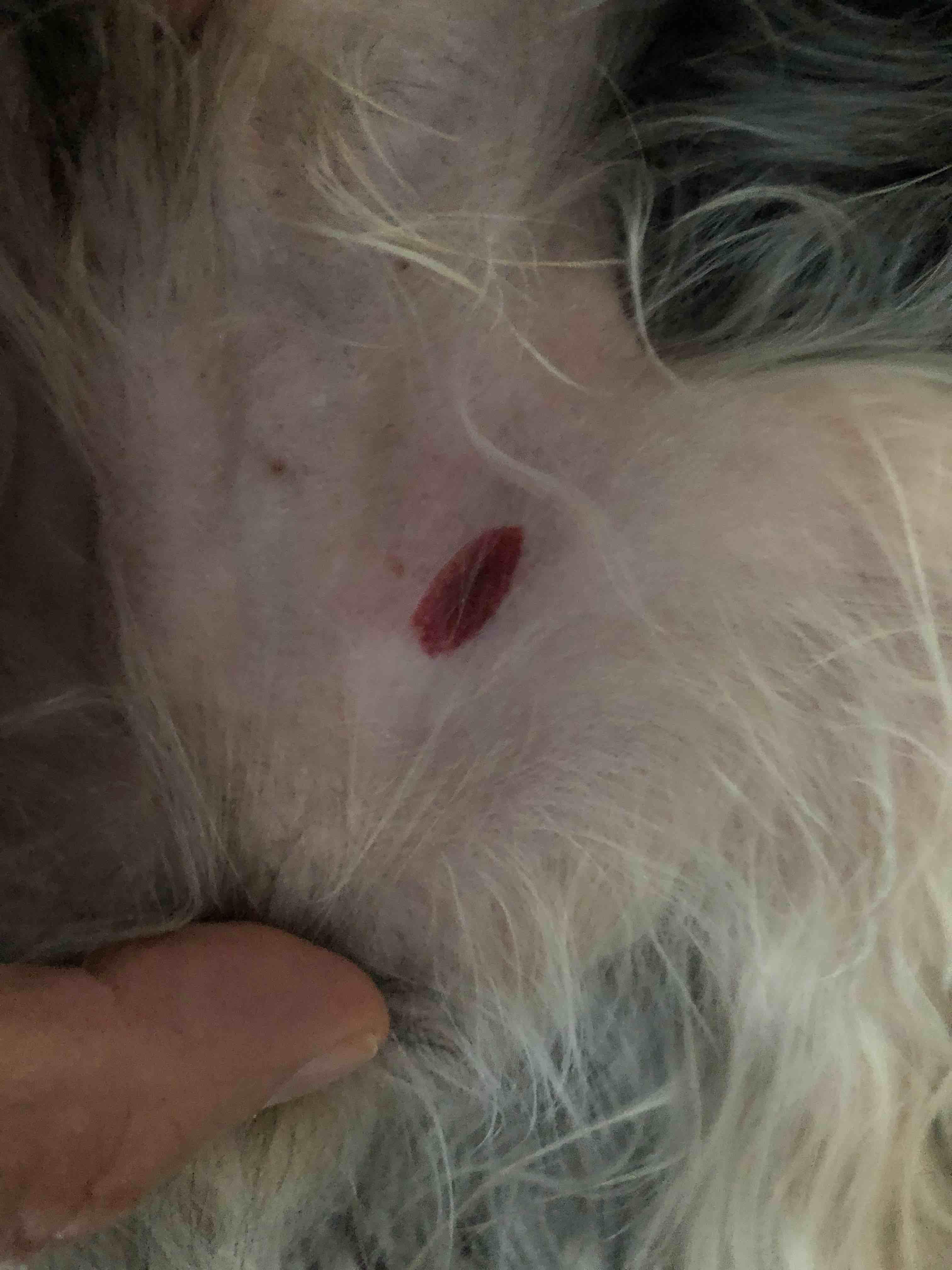 Question details sensitive content