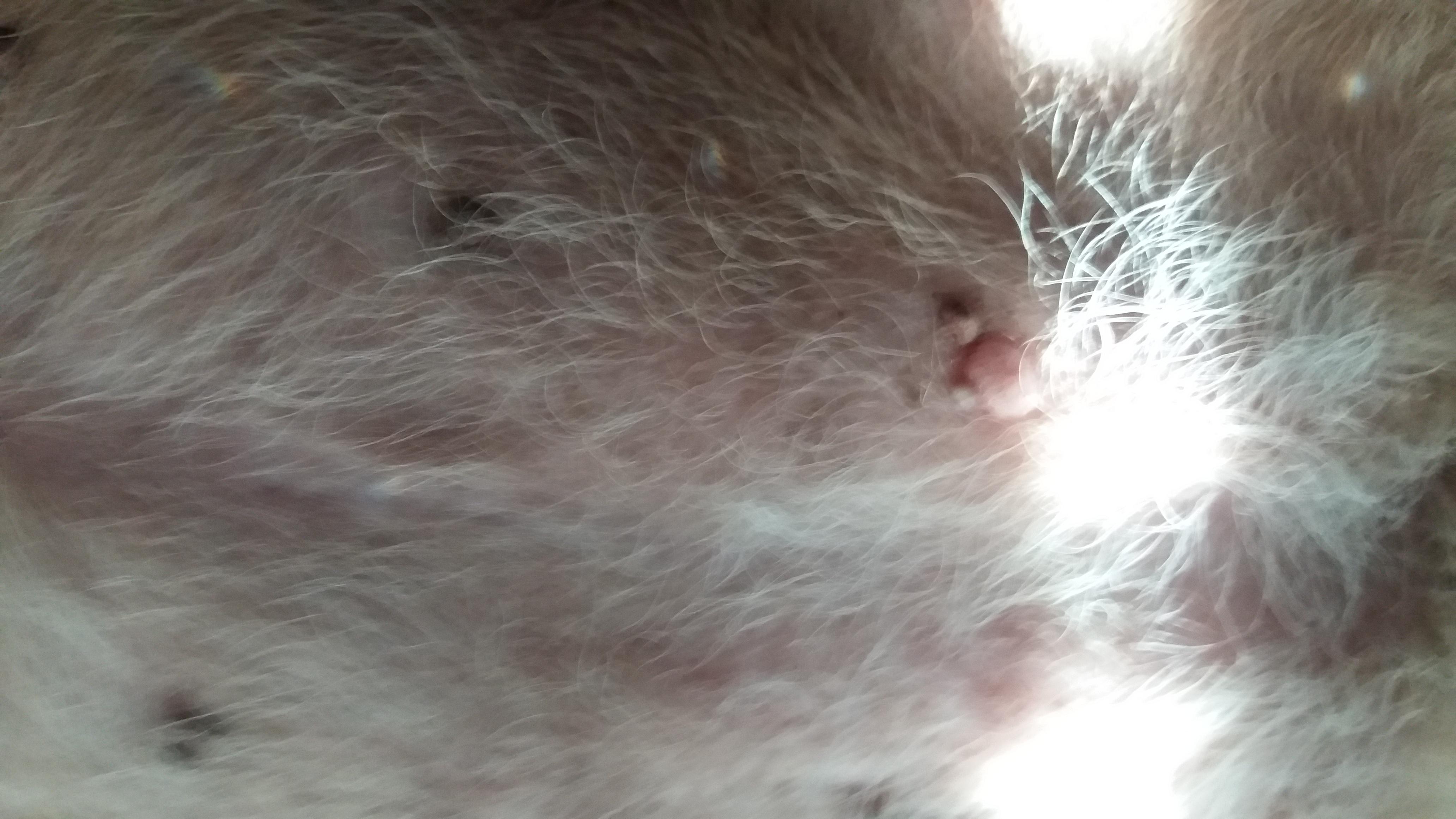 Question details sensitive content