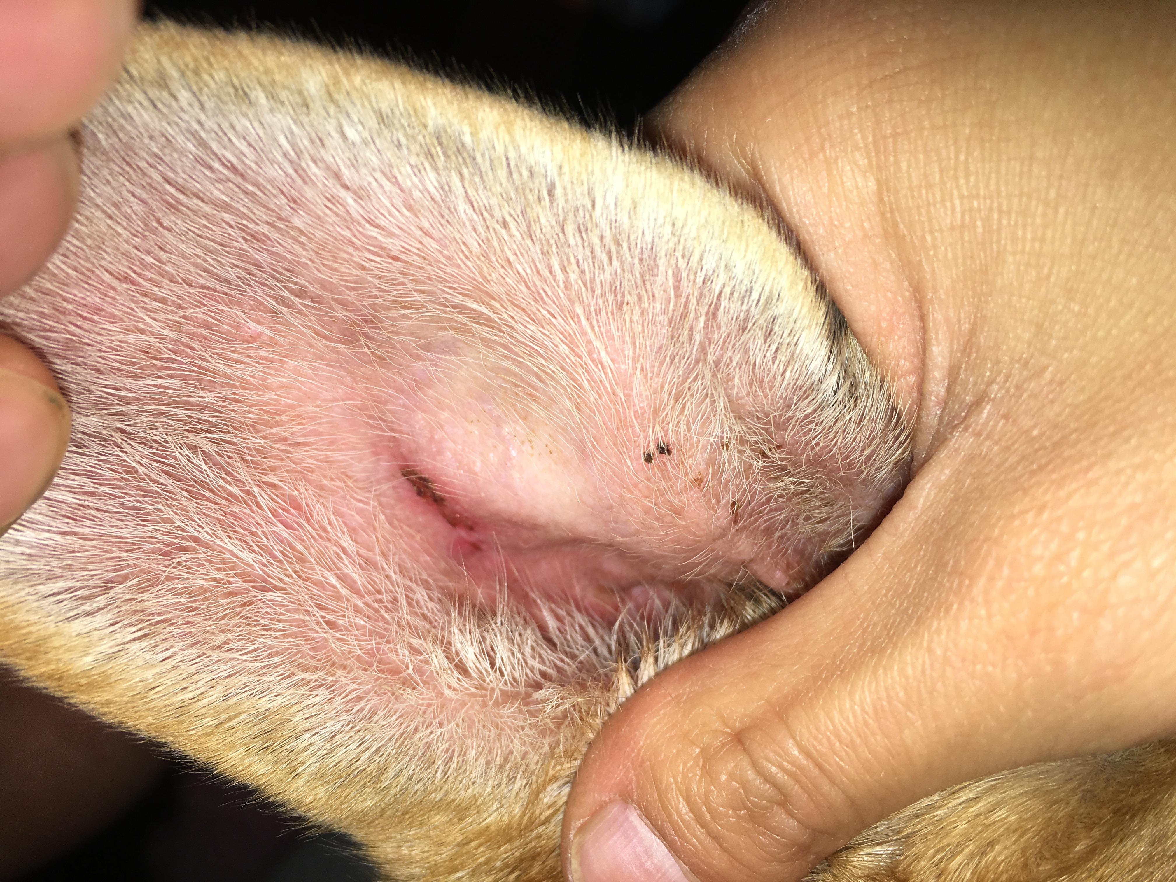 Question details sensitive content