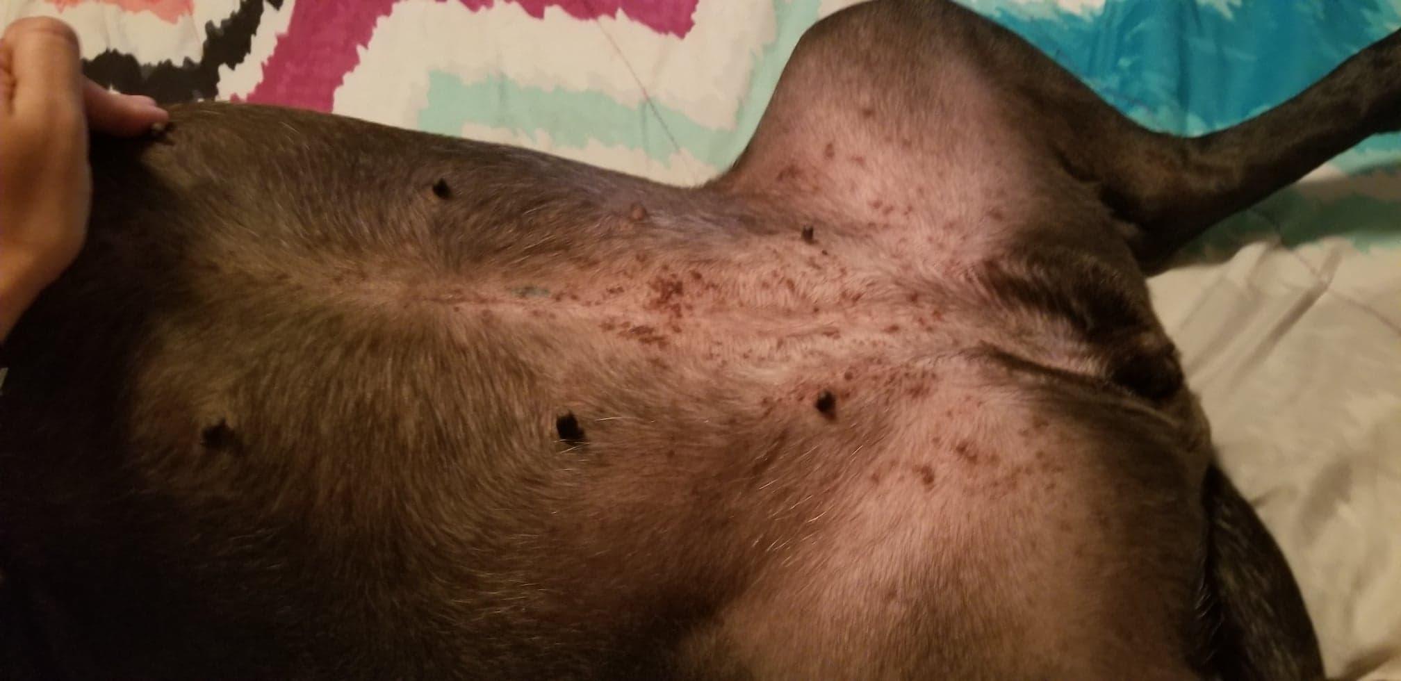 Question details sensitive content