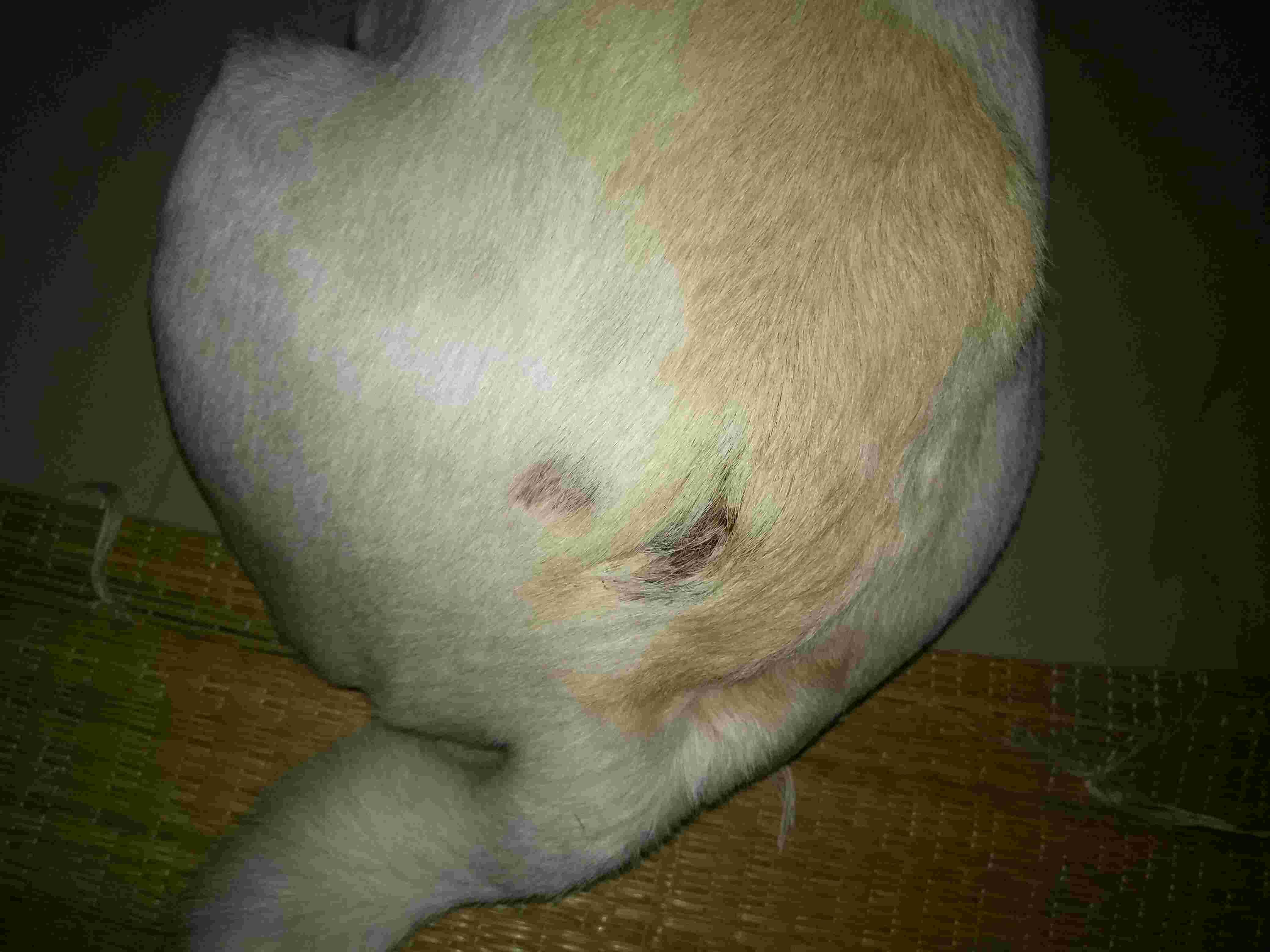 Question details sensitive content