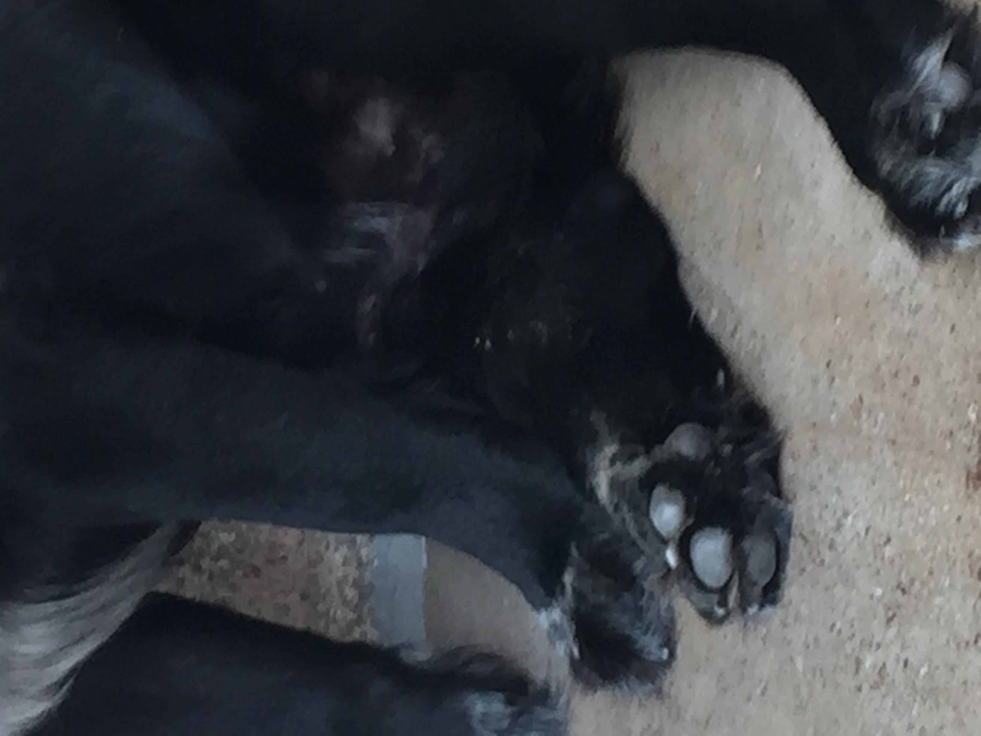 Question details sensitive content