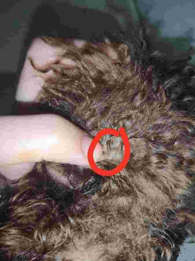 Question details sensitive content