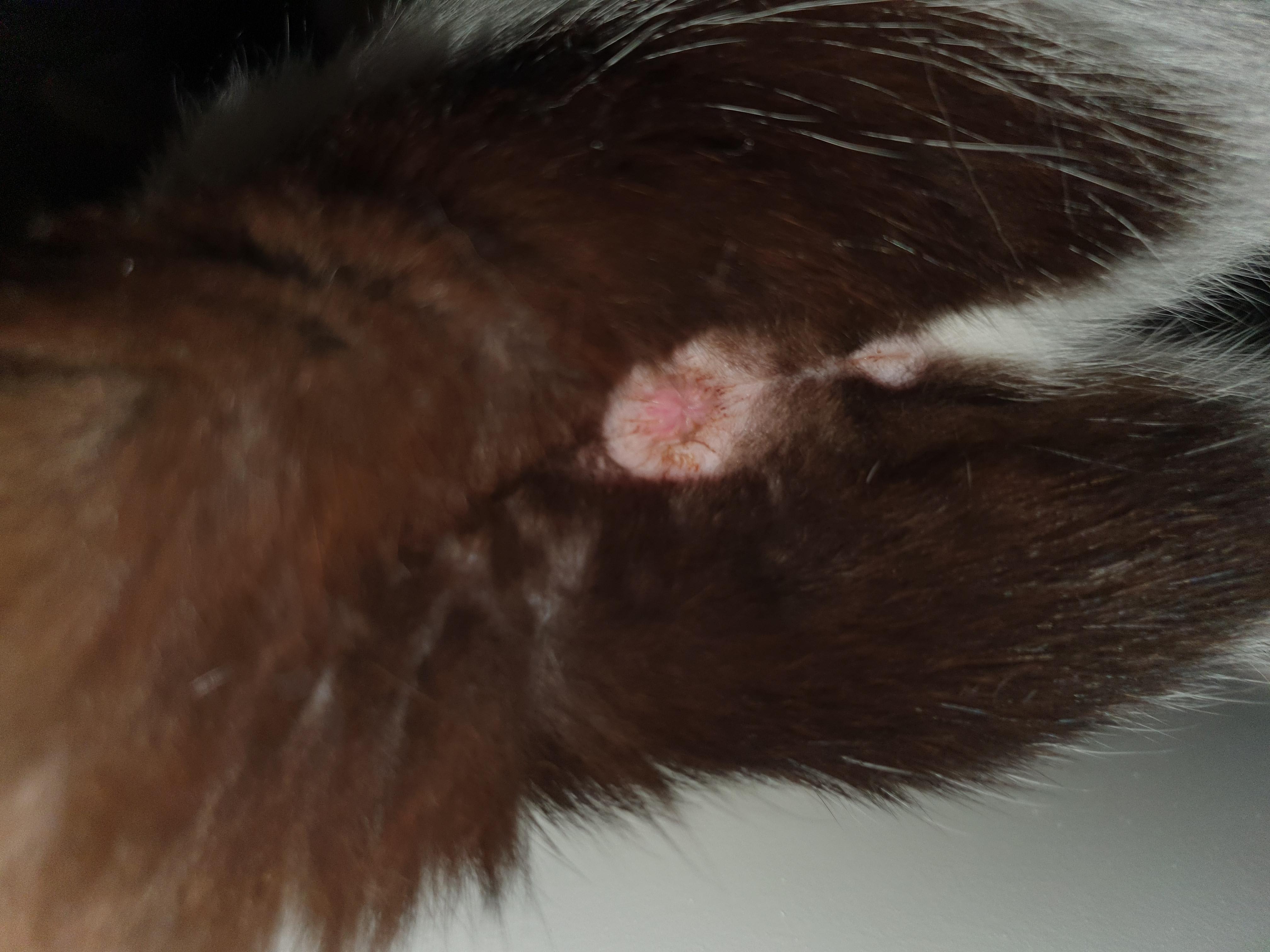 Question details sensitive content