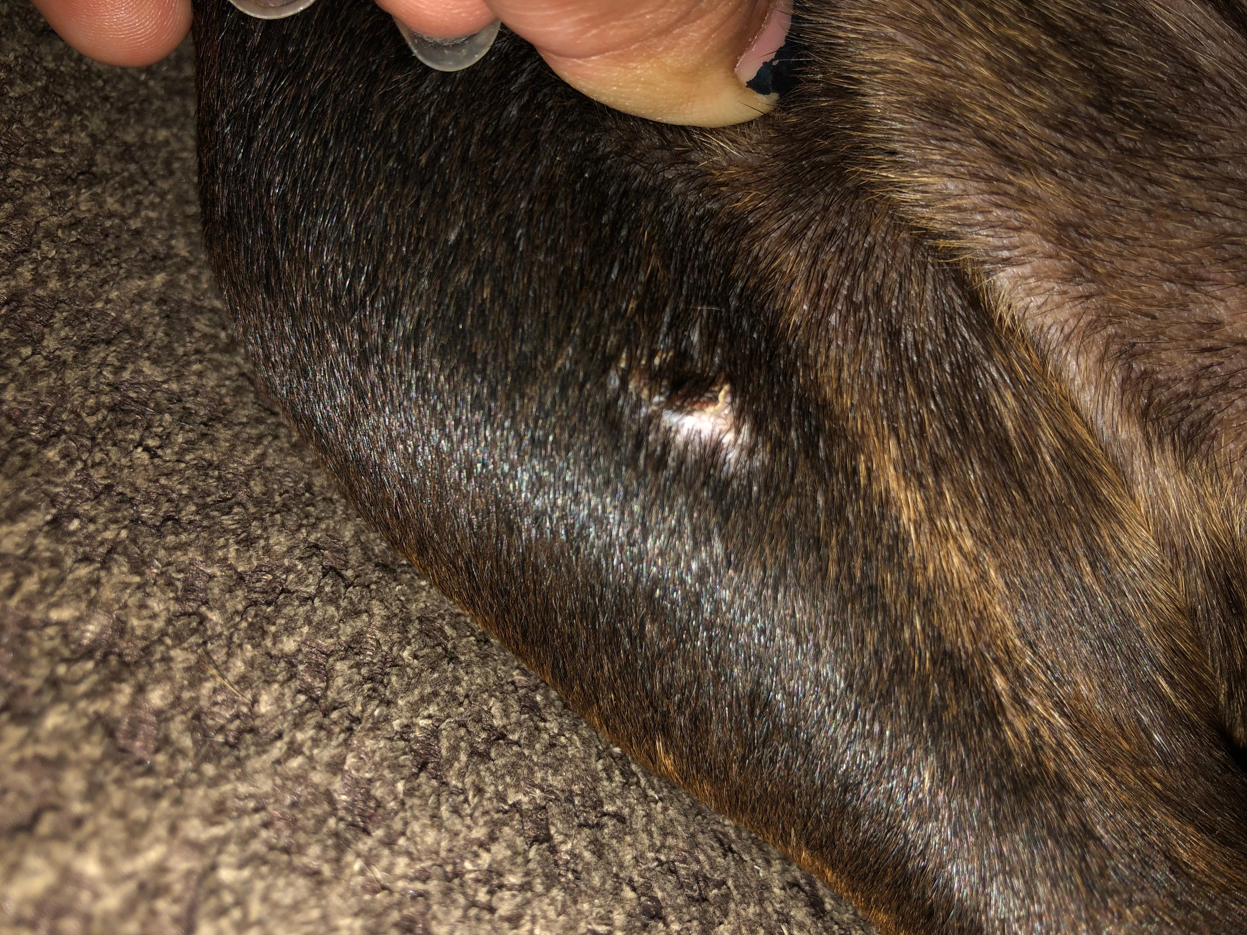 Question details sensitive content