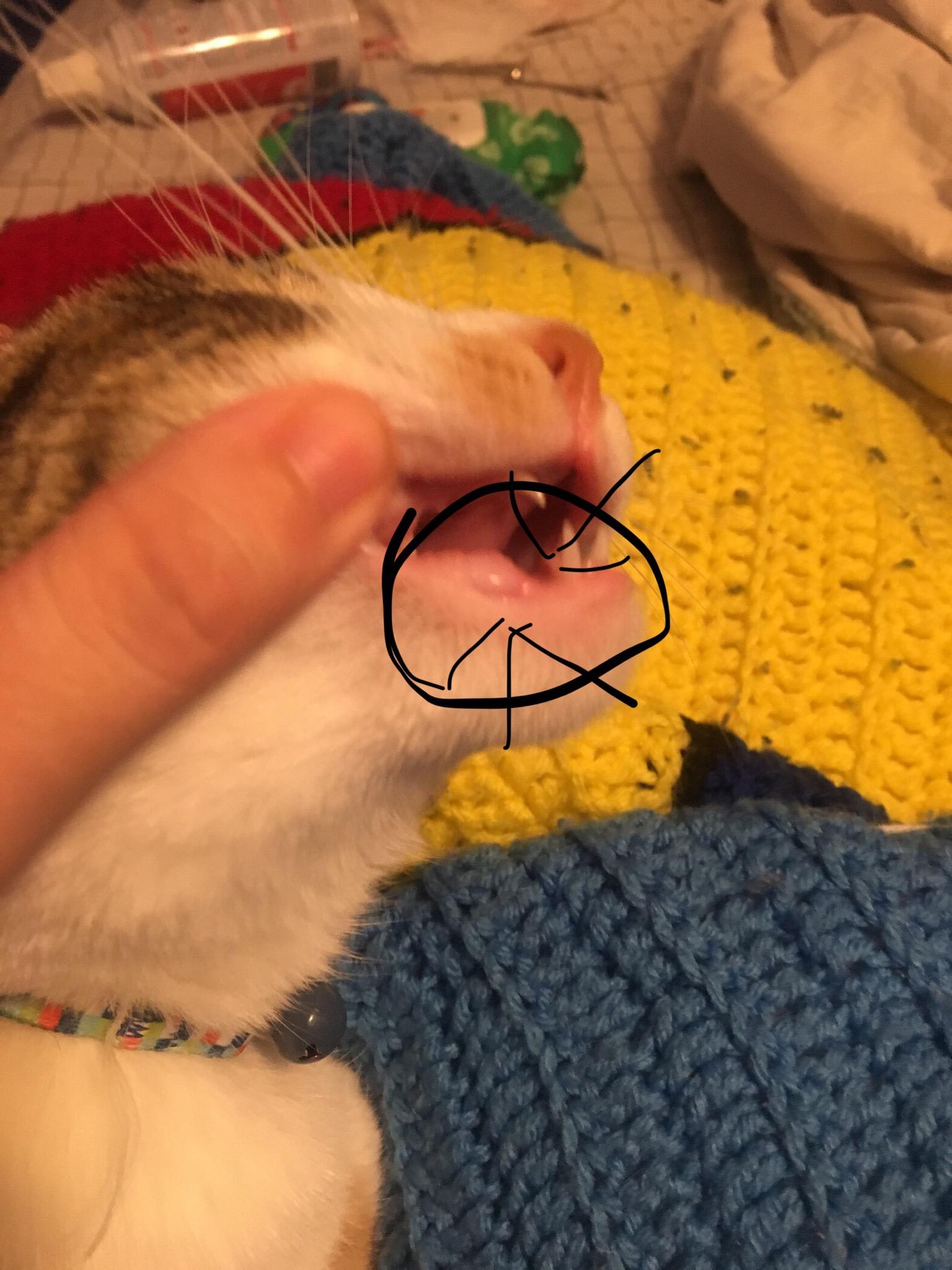 Question details sensitive content