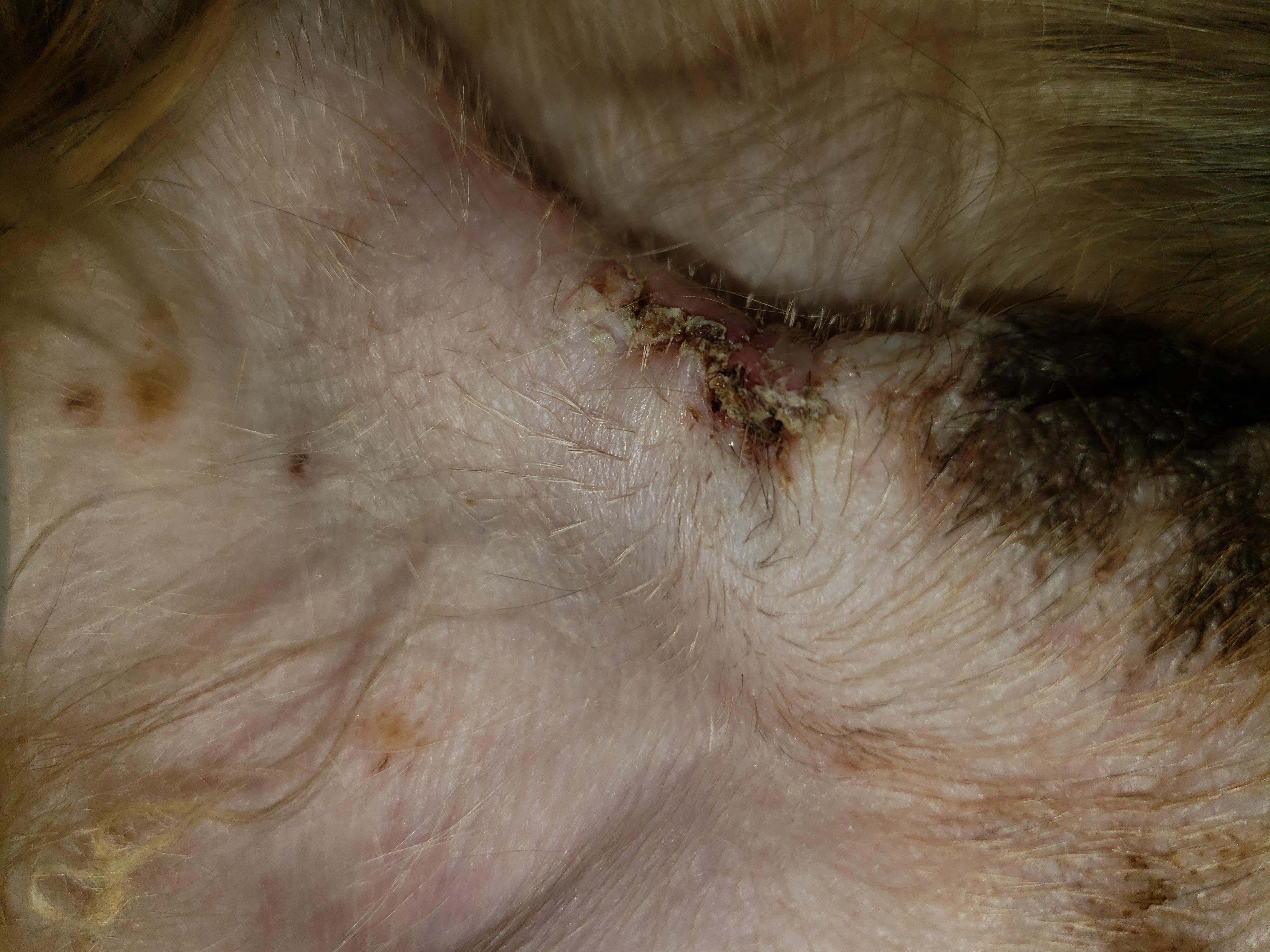 Question details sensitive content