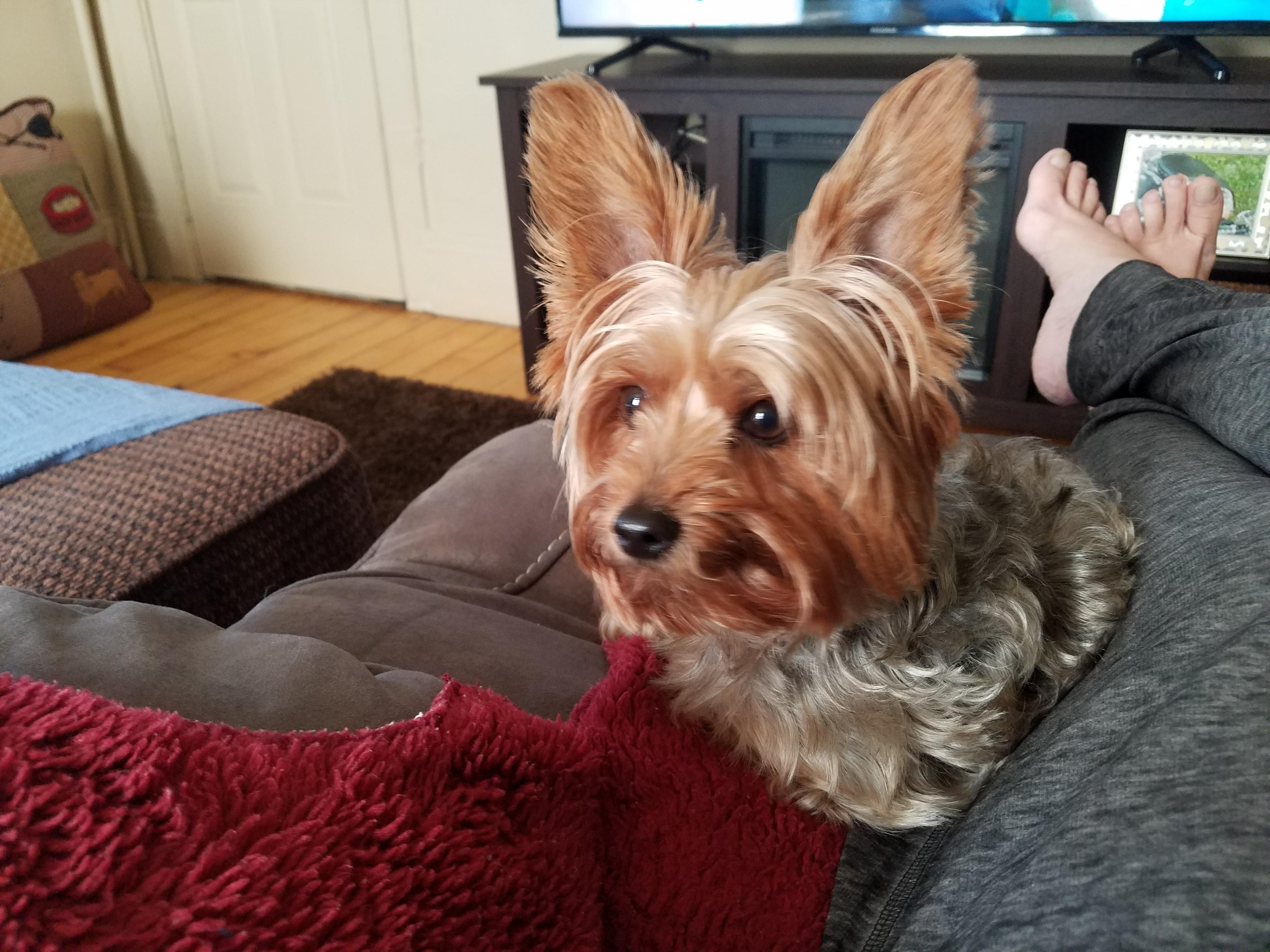 Question details sensitive content