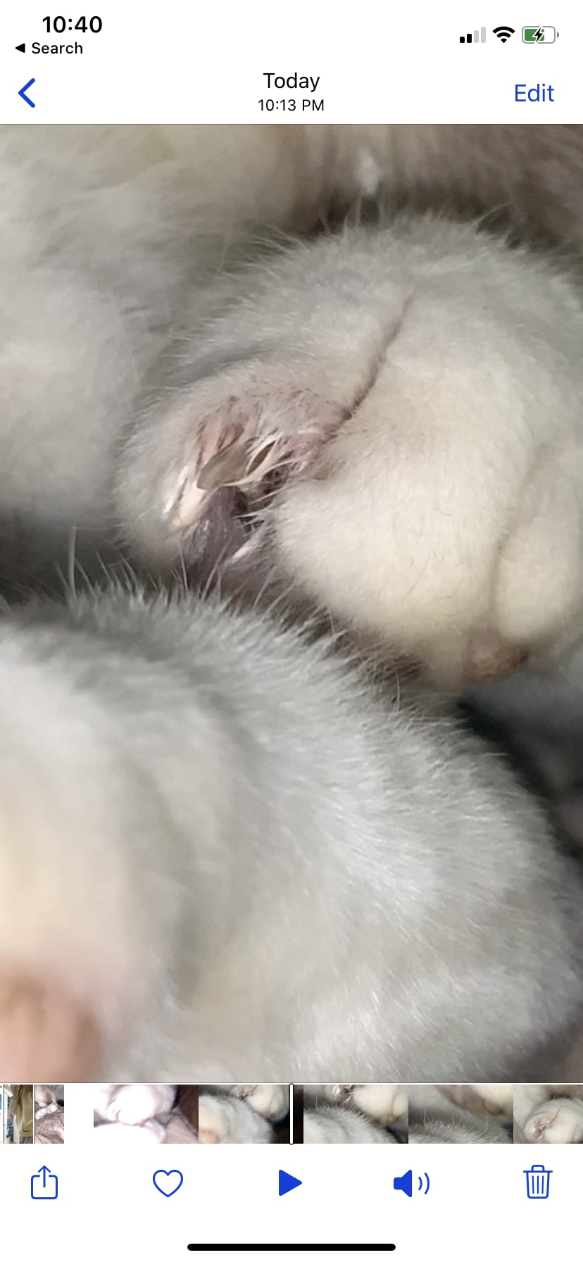 Question details sensitive content