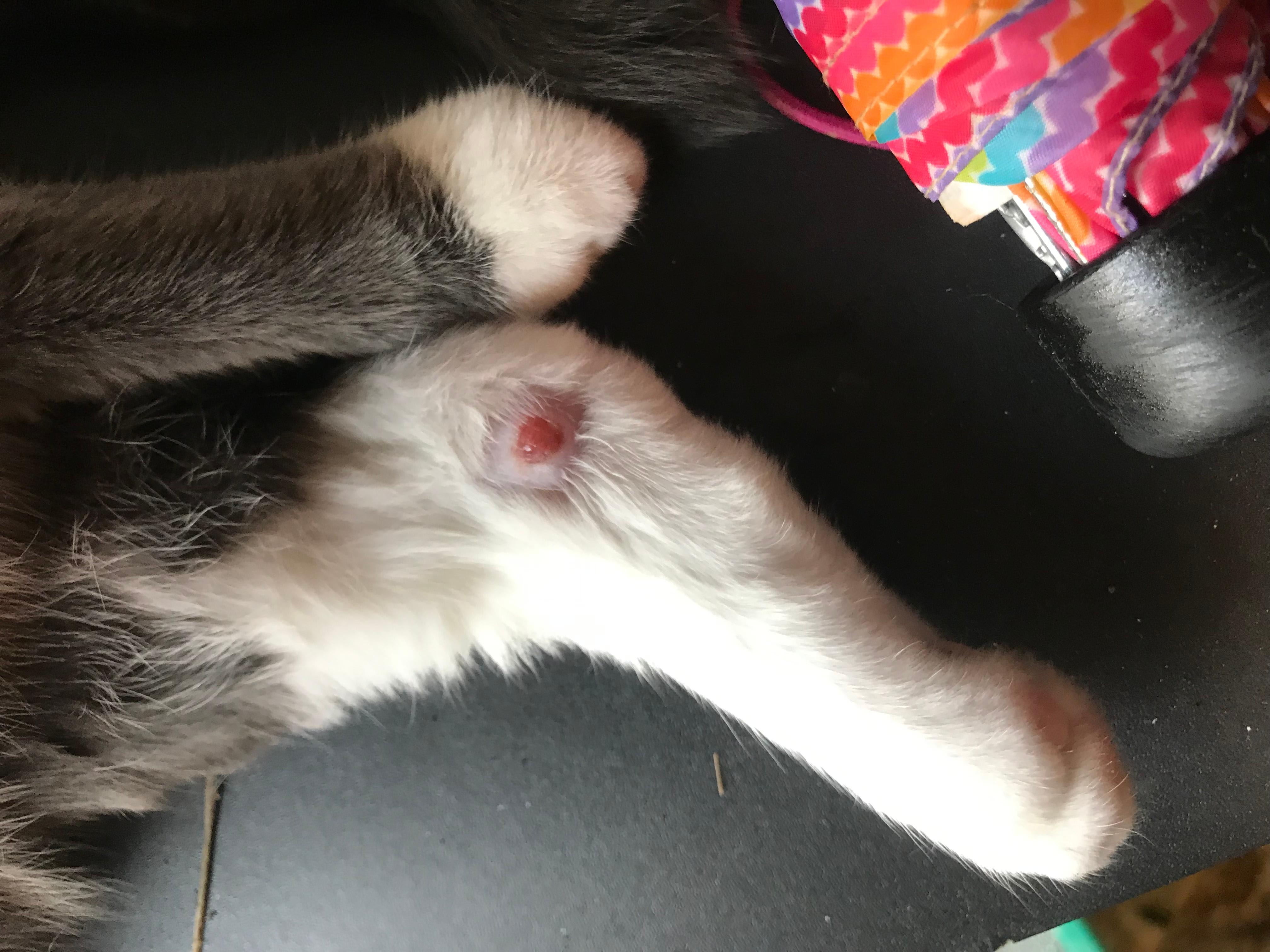 Question details sensitive content