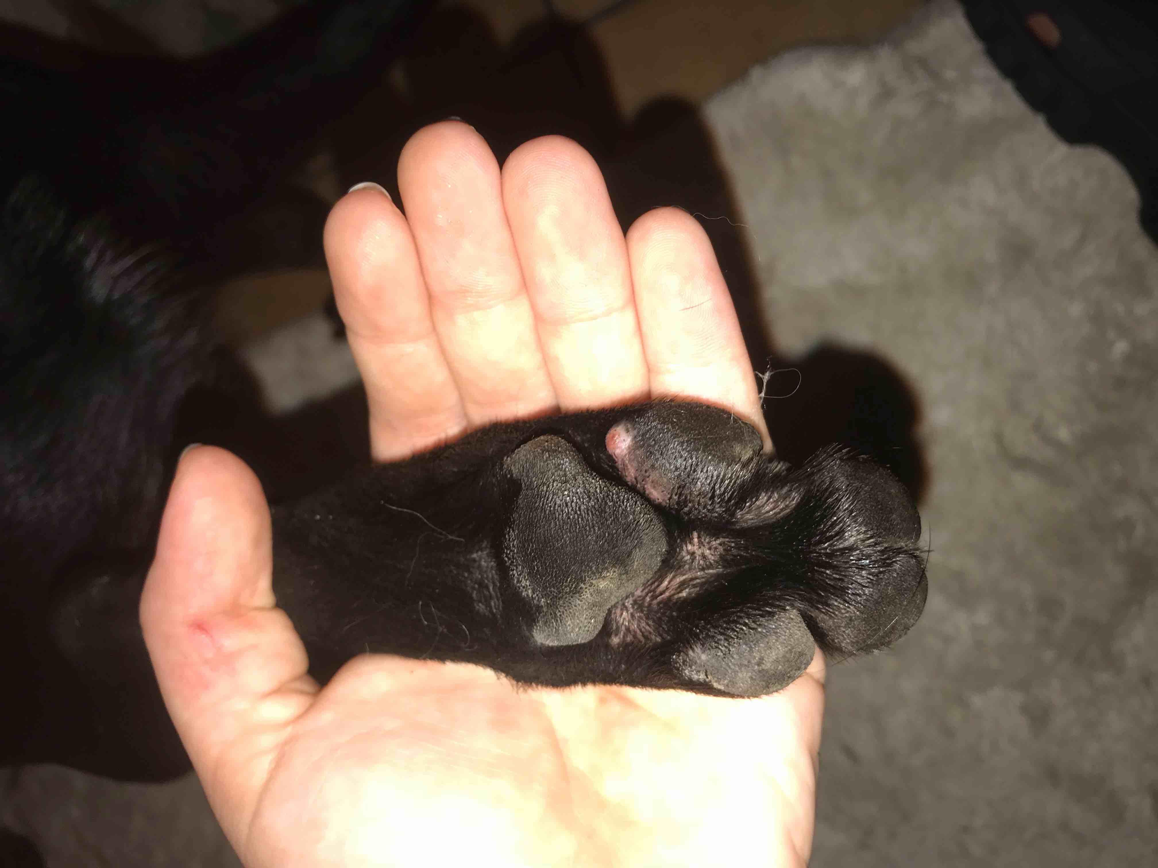 Question details sensitive content