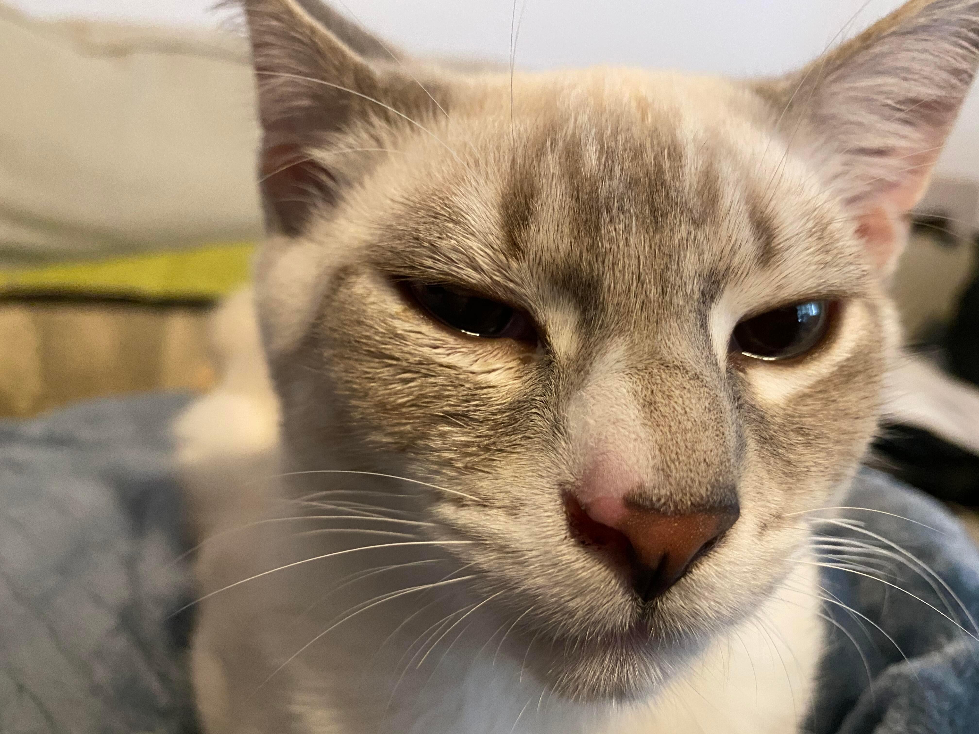 Question details sensitive content