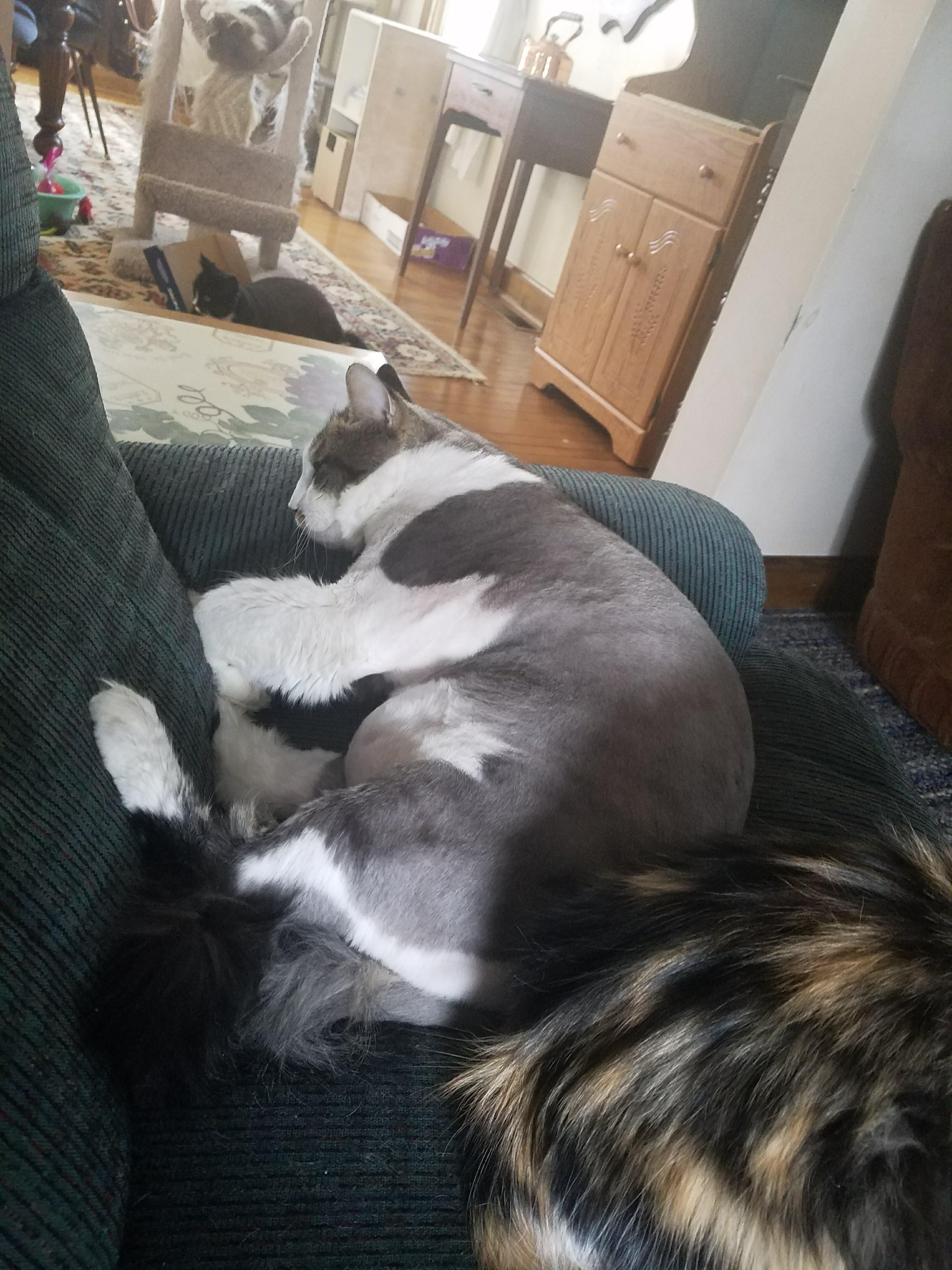 Question details sensitive content