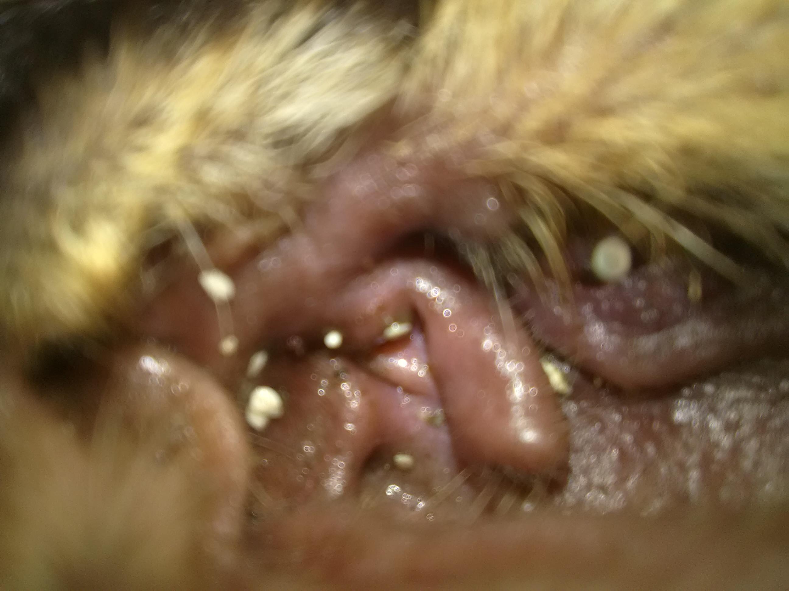 Question details sensitive content