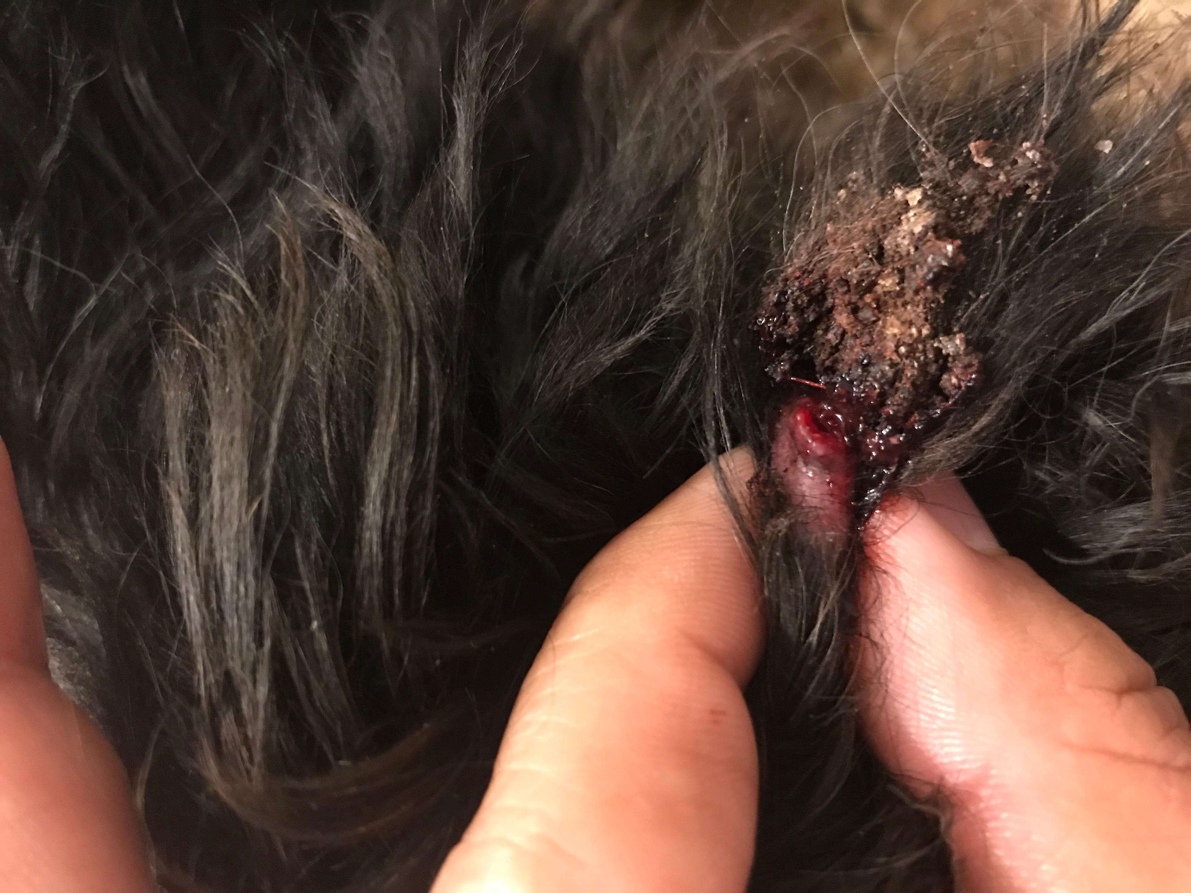 Question details sensitive content