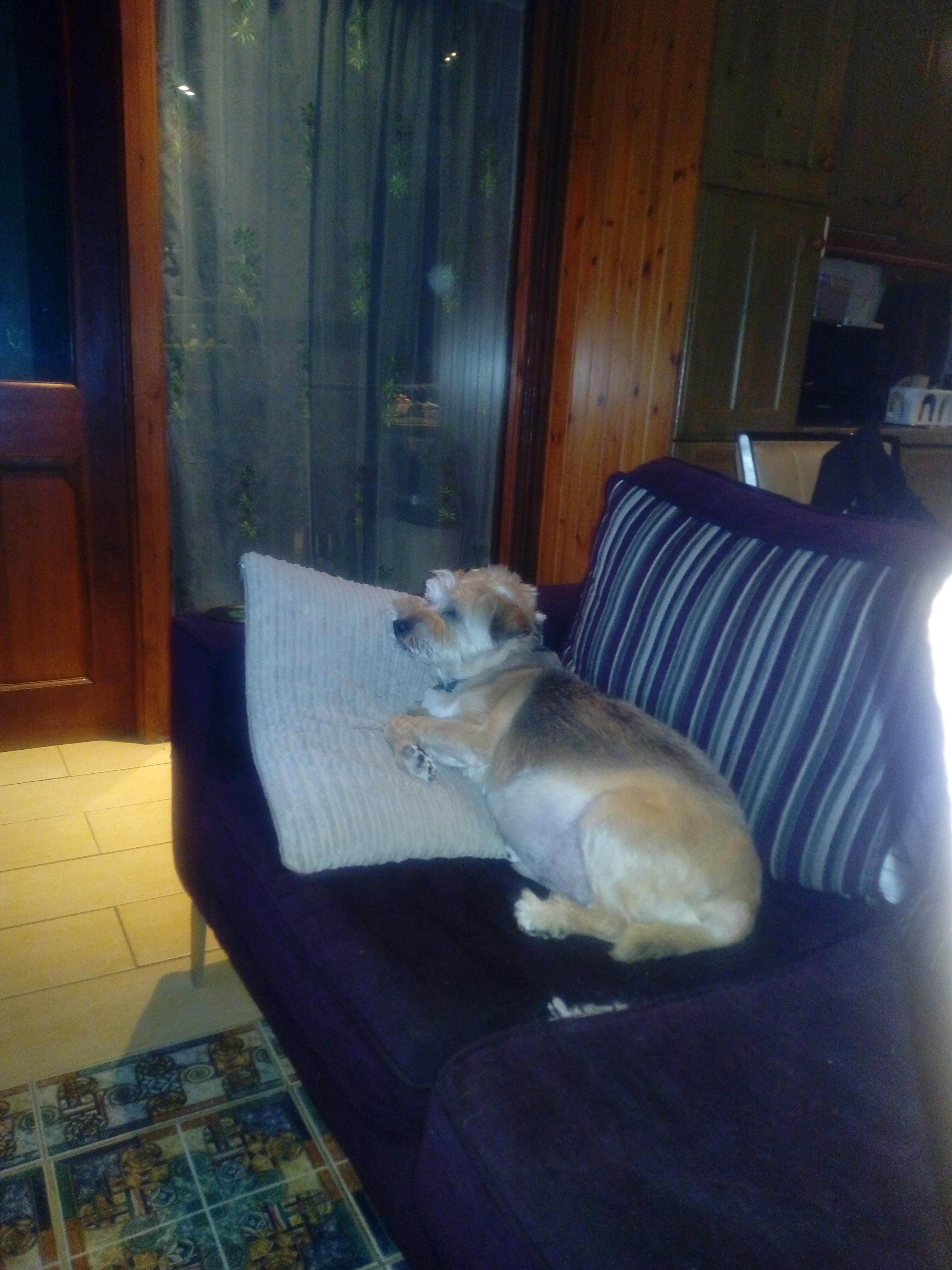 Question details sensitive content