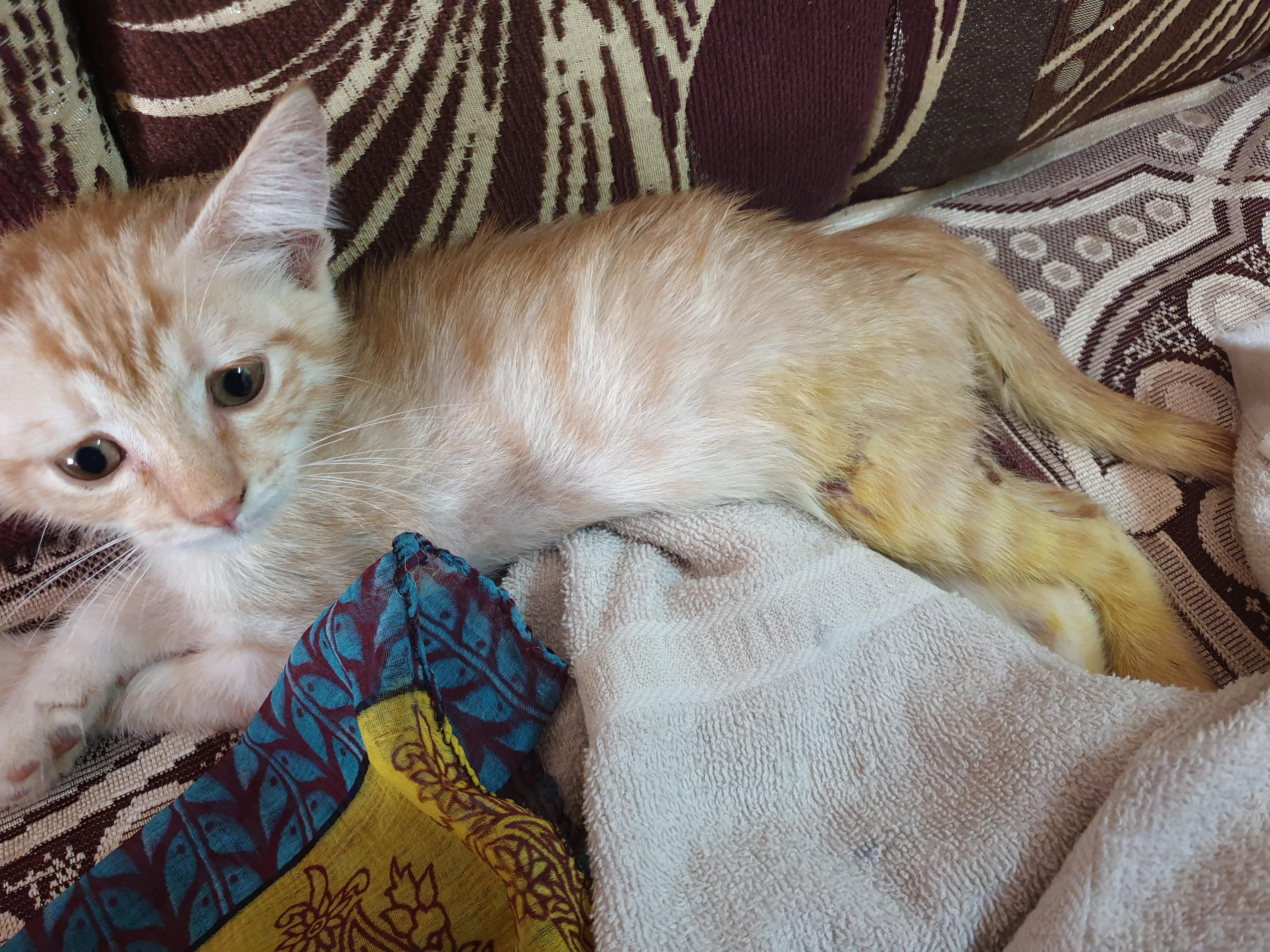 Question details sensitive content