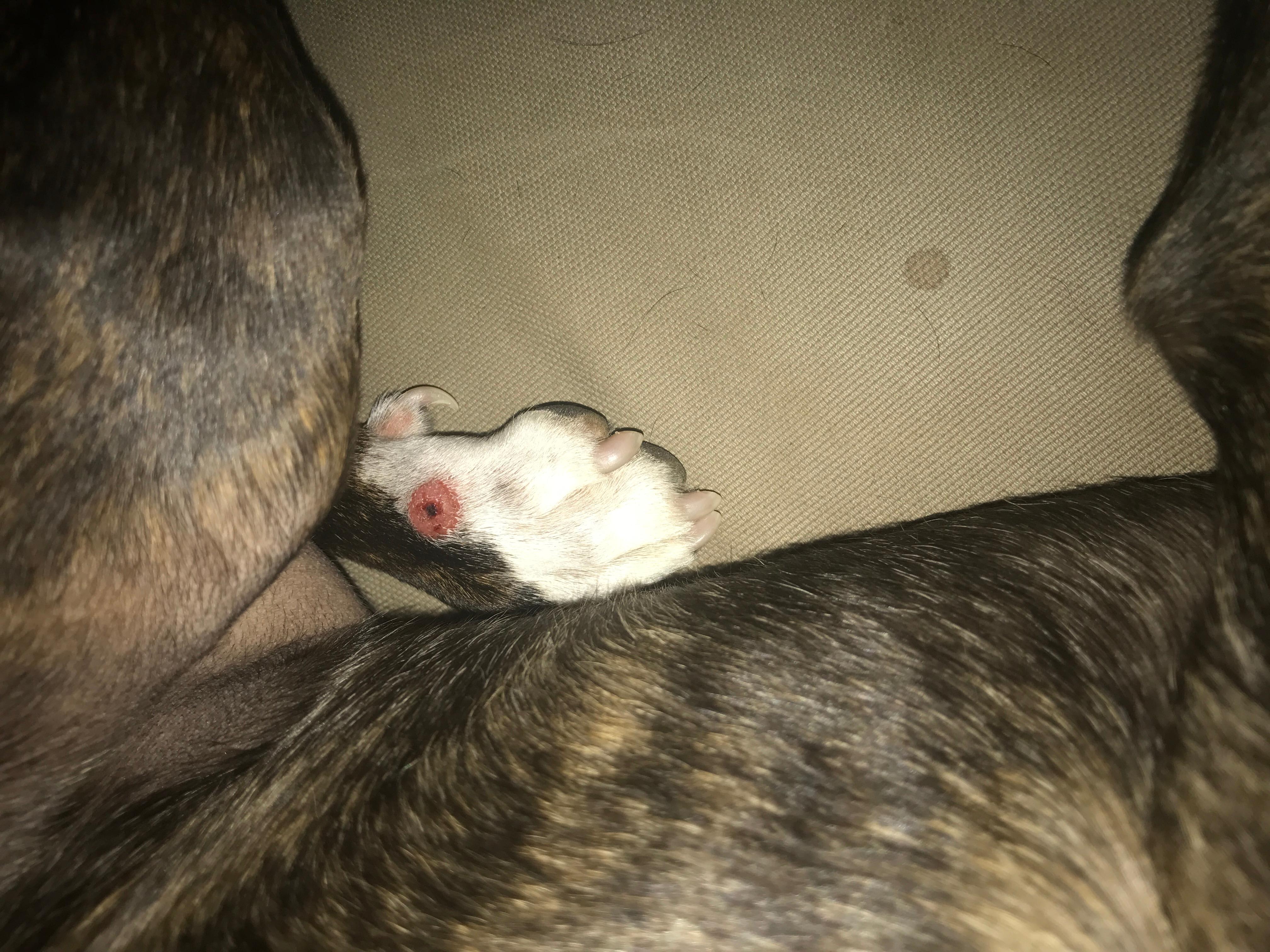 Question details sensitive content