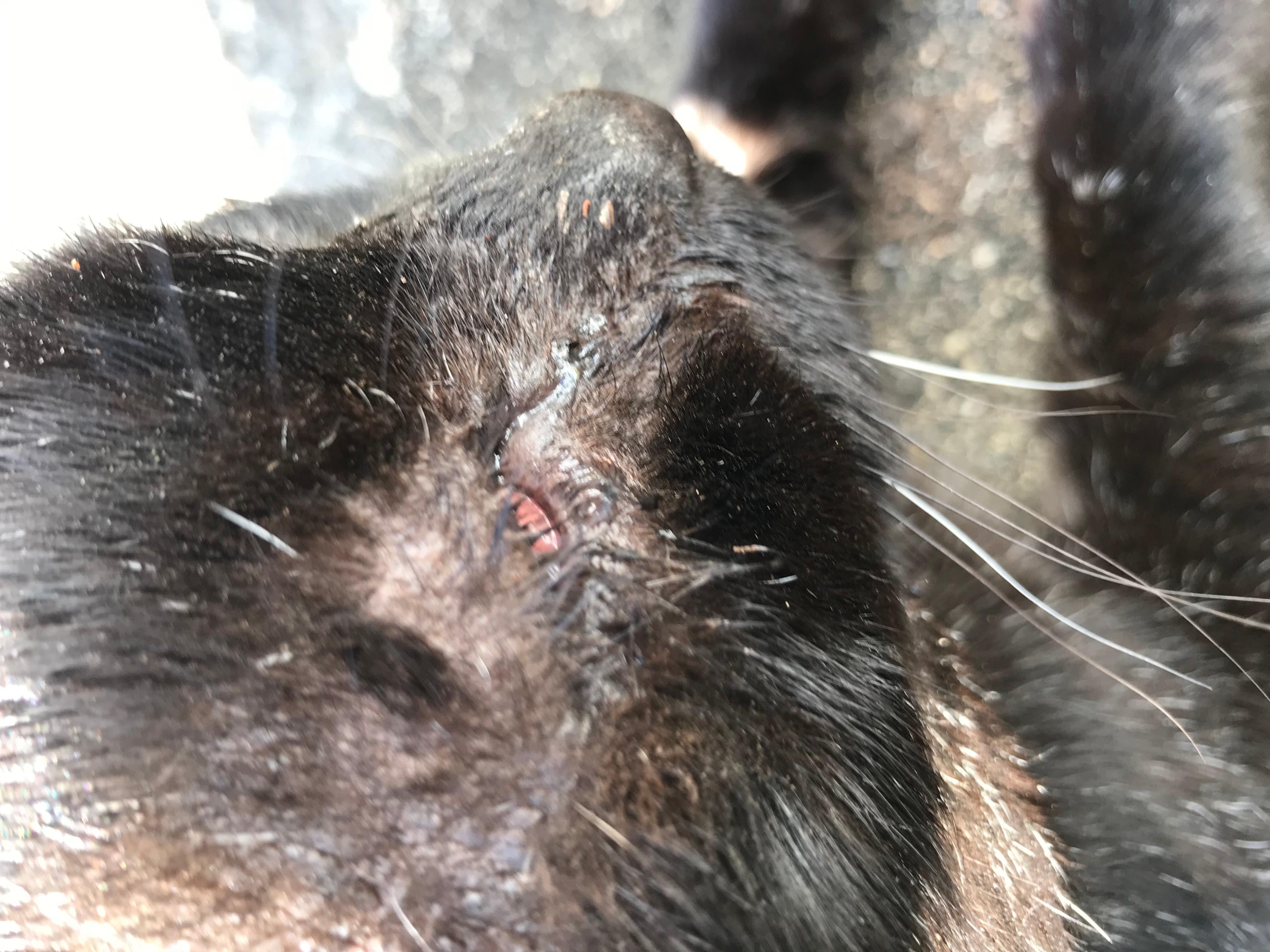 Question details sensitive content