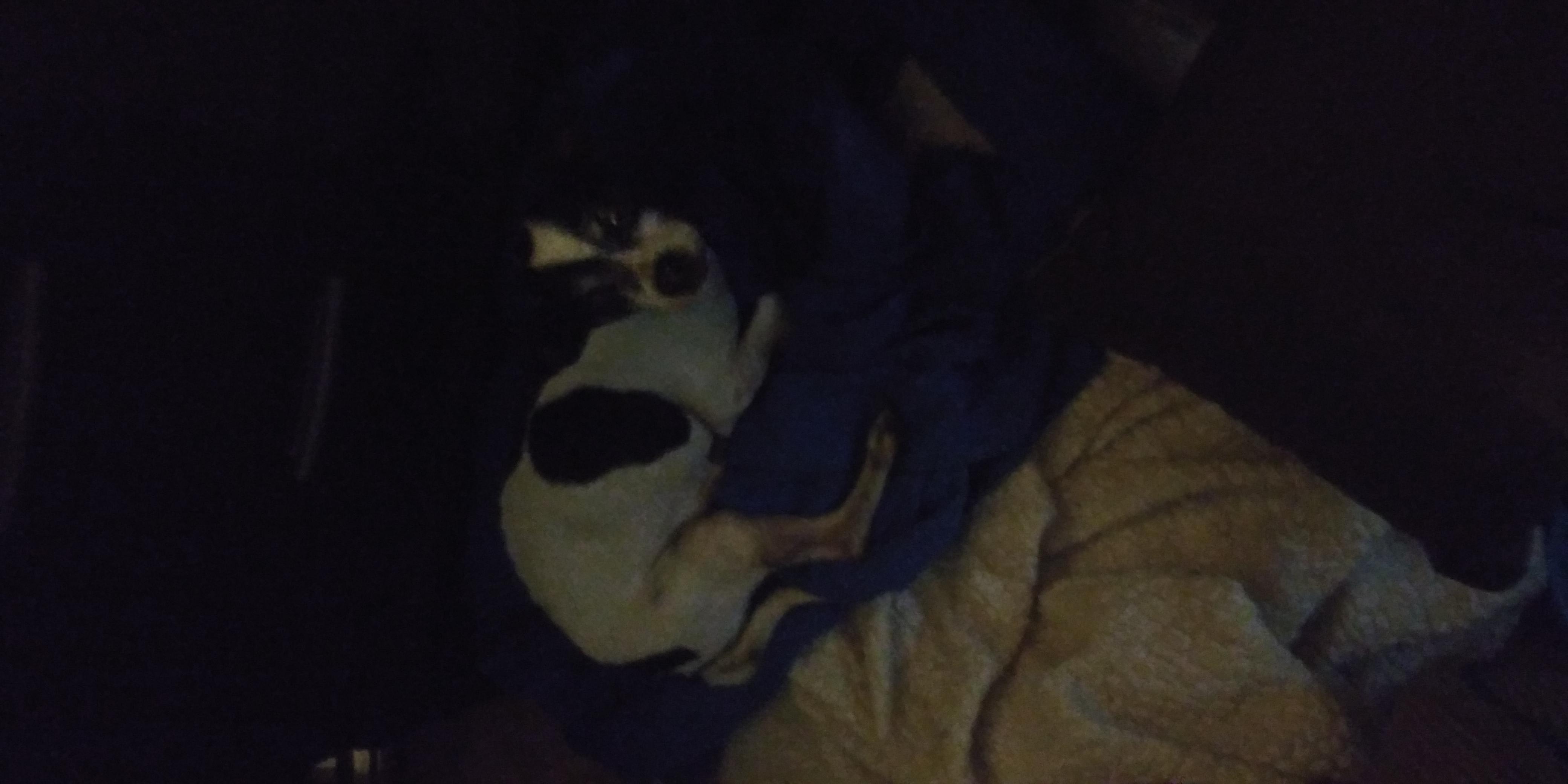 Question details sensitive content