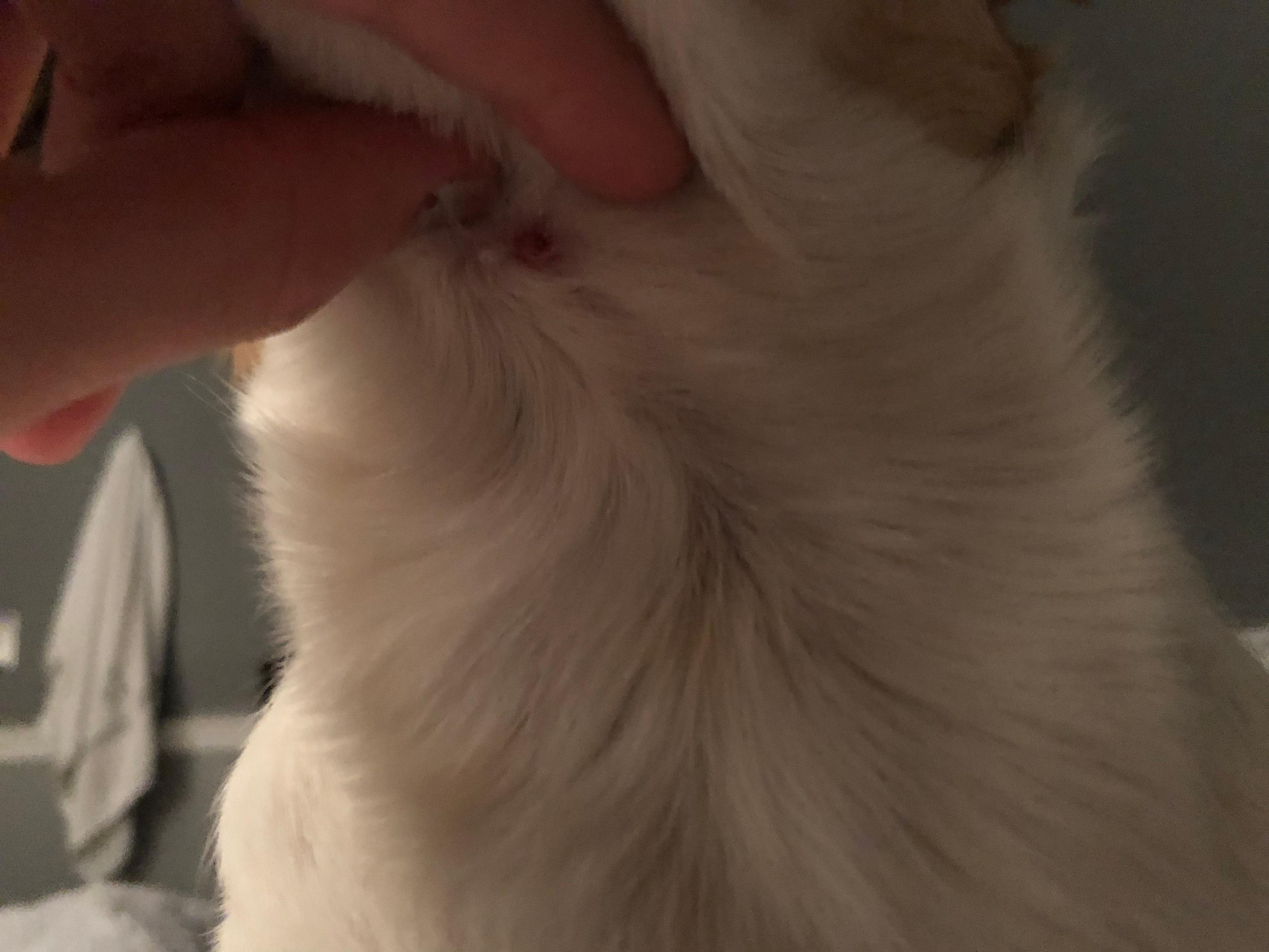 Question details sensitive content