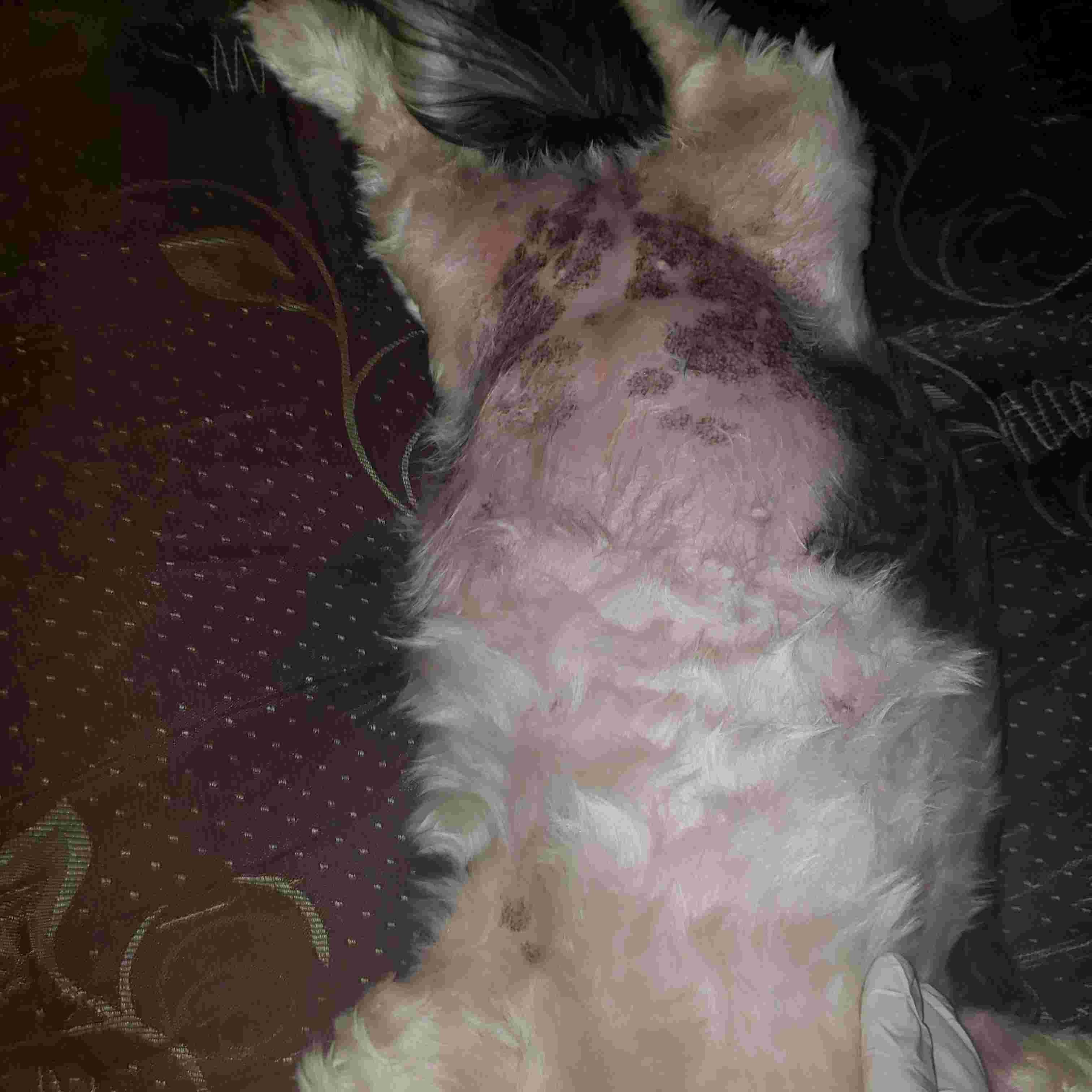 Question details sensitive content