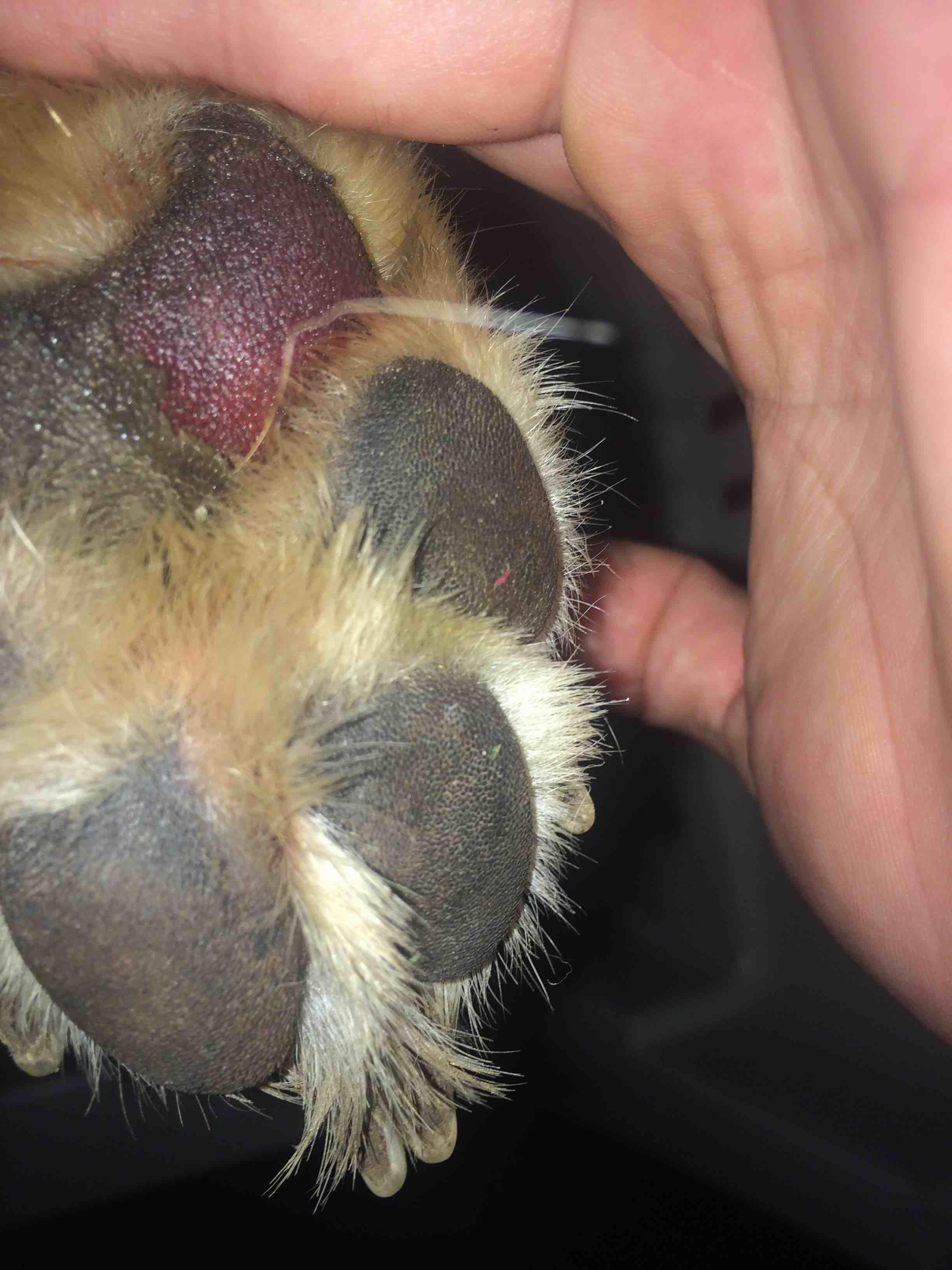 Question details sensitive content